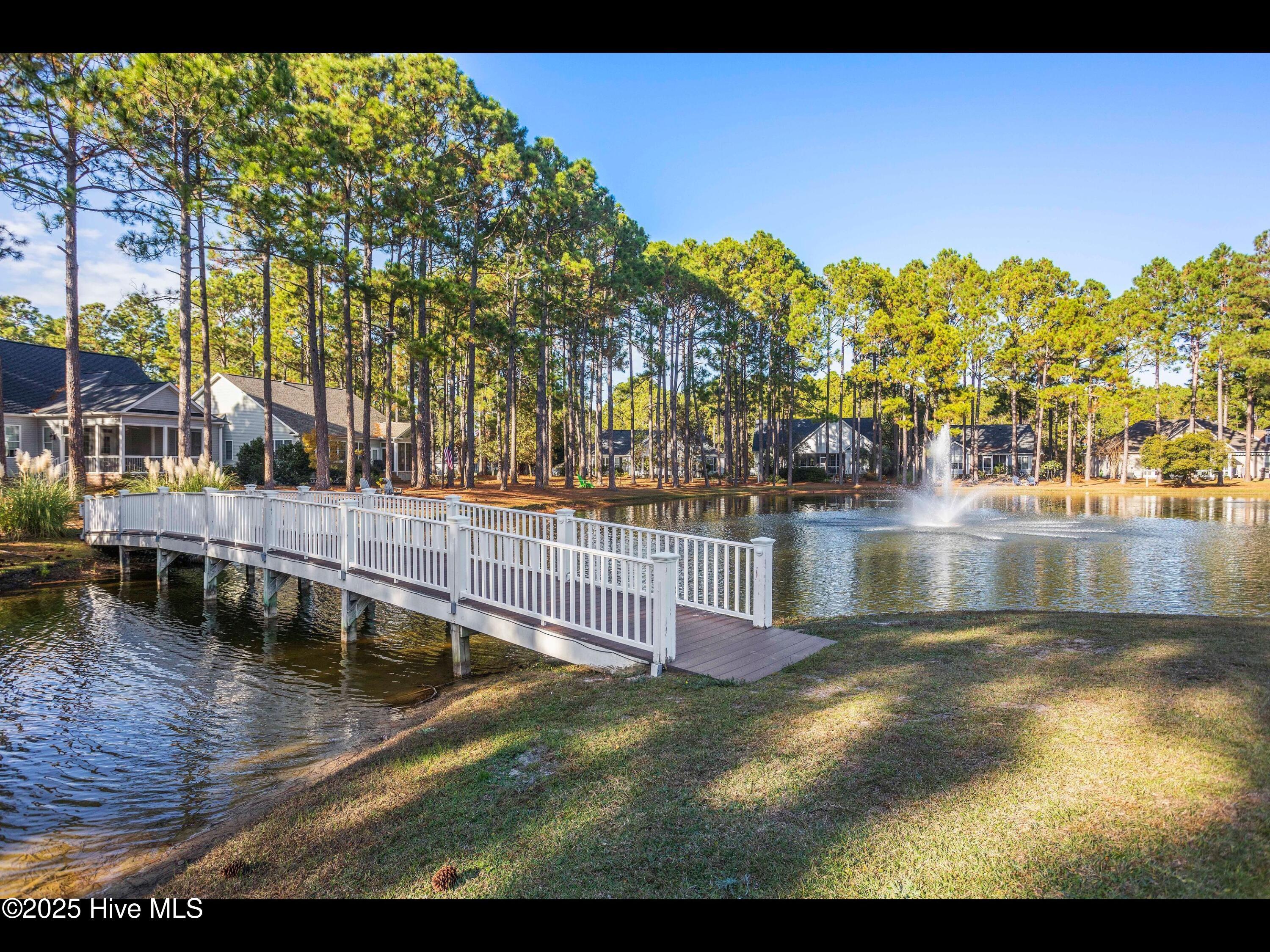 4043 Brick Path Lane Property Photo 53