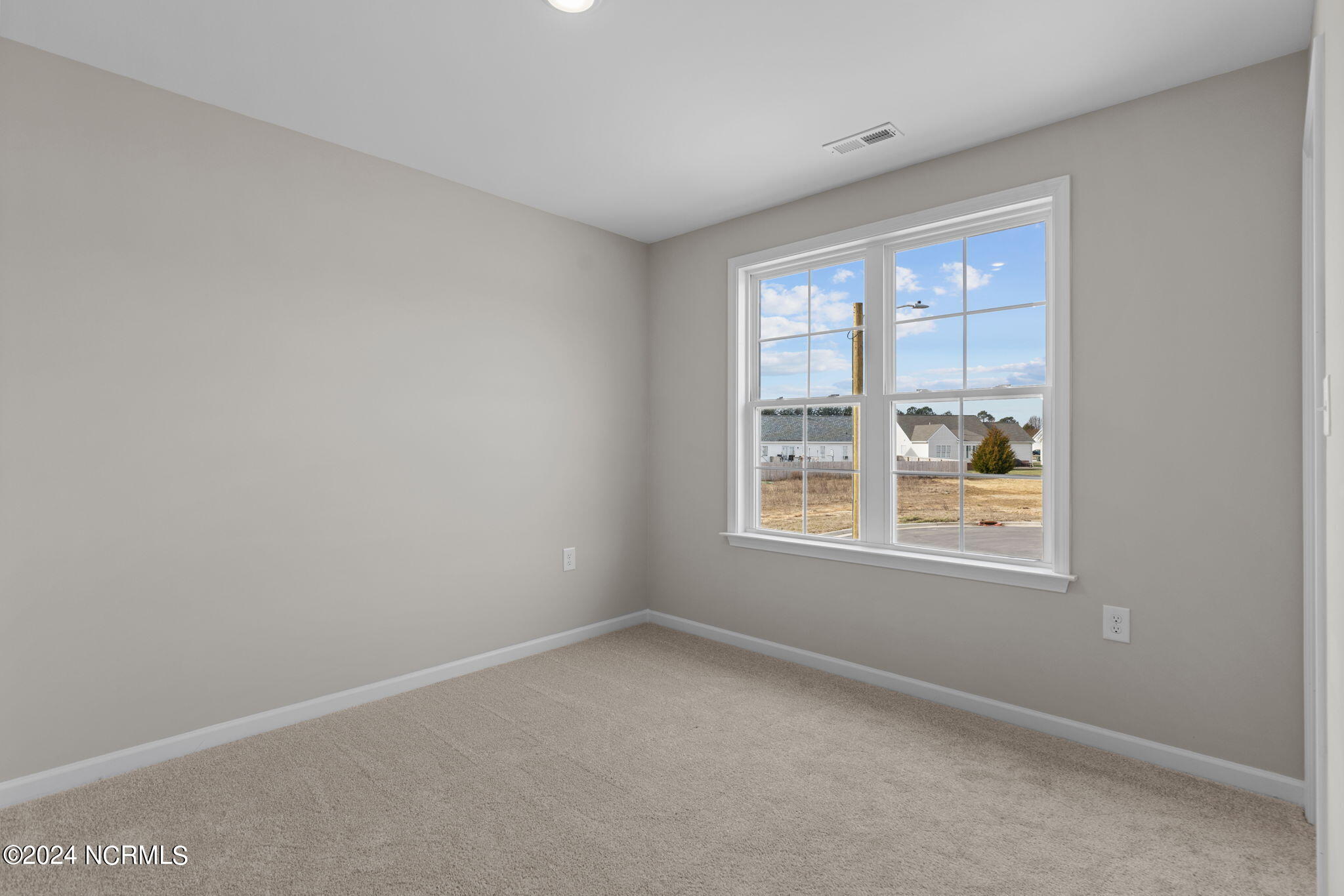 4529 Sweet Williams Lane Property Photo 17
