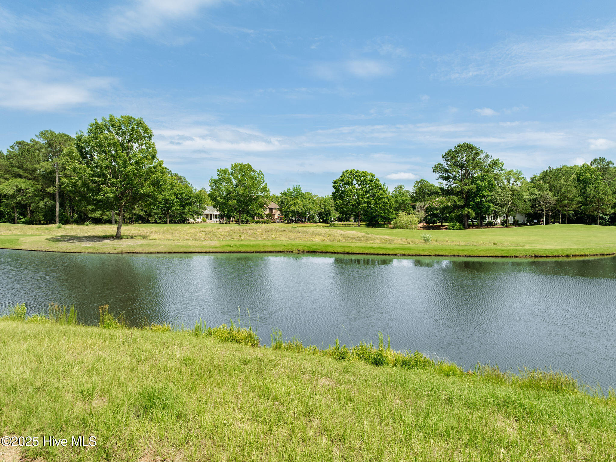 166 Falls Landing Way Property Photo 12