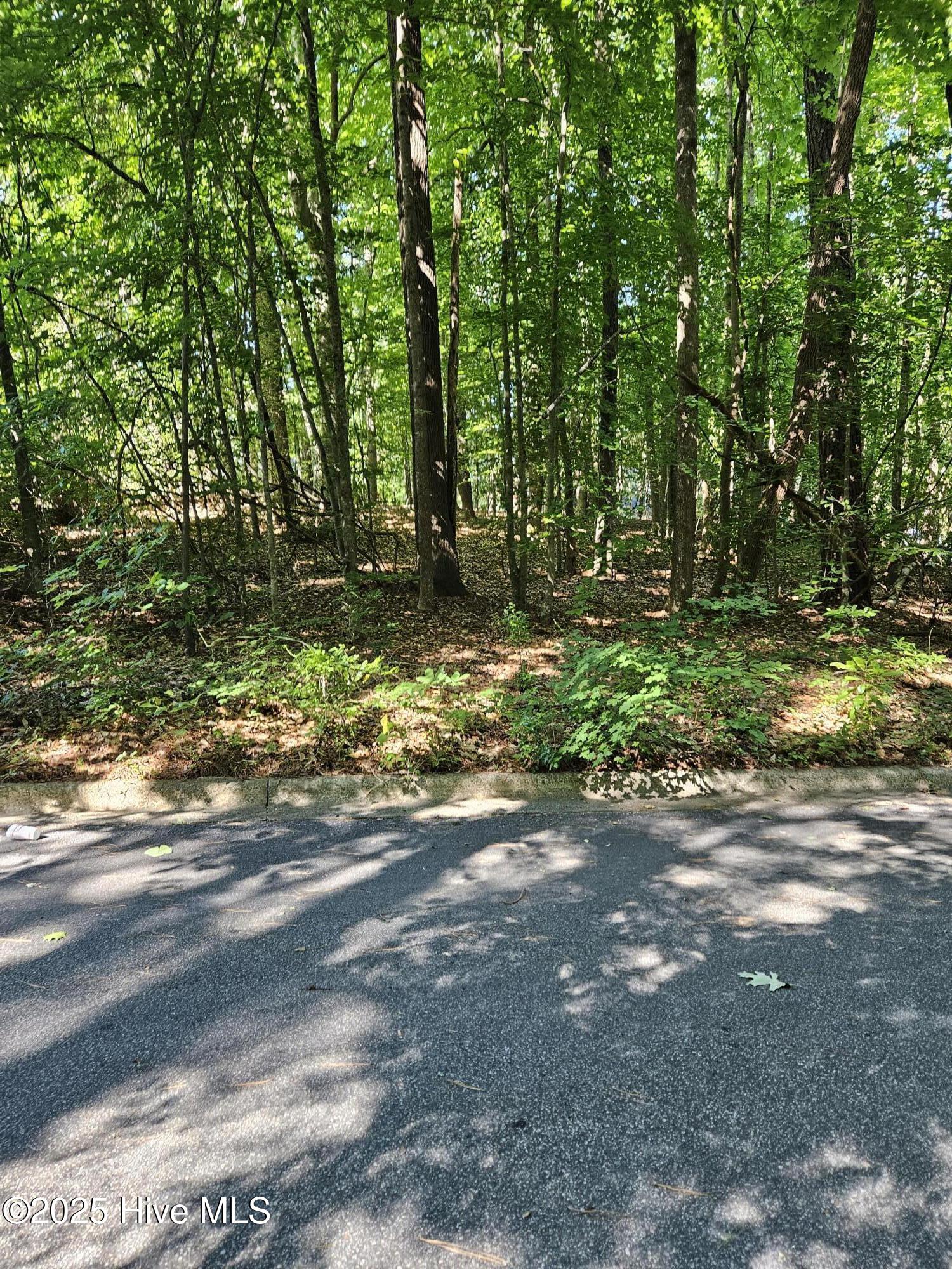 0 Woodlawn East Drive Property Photo 1