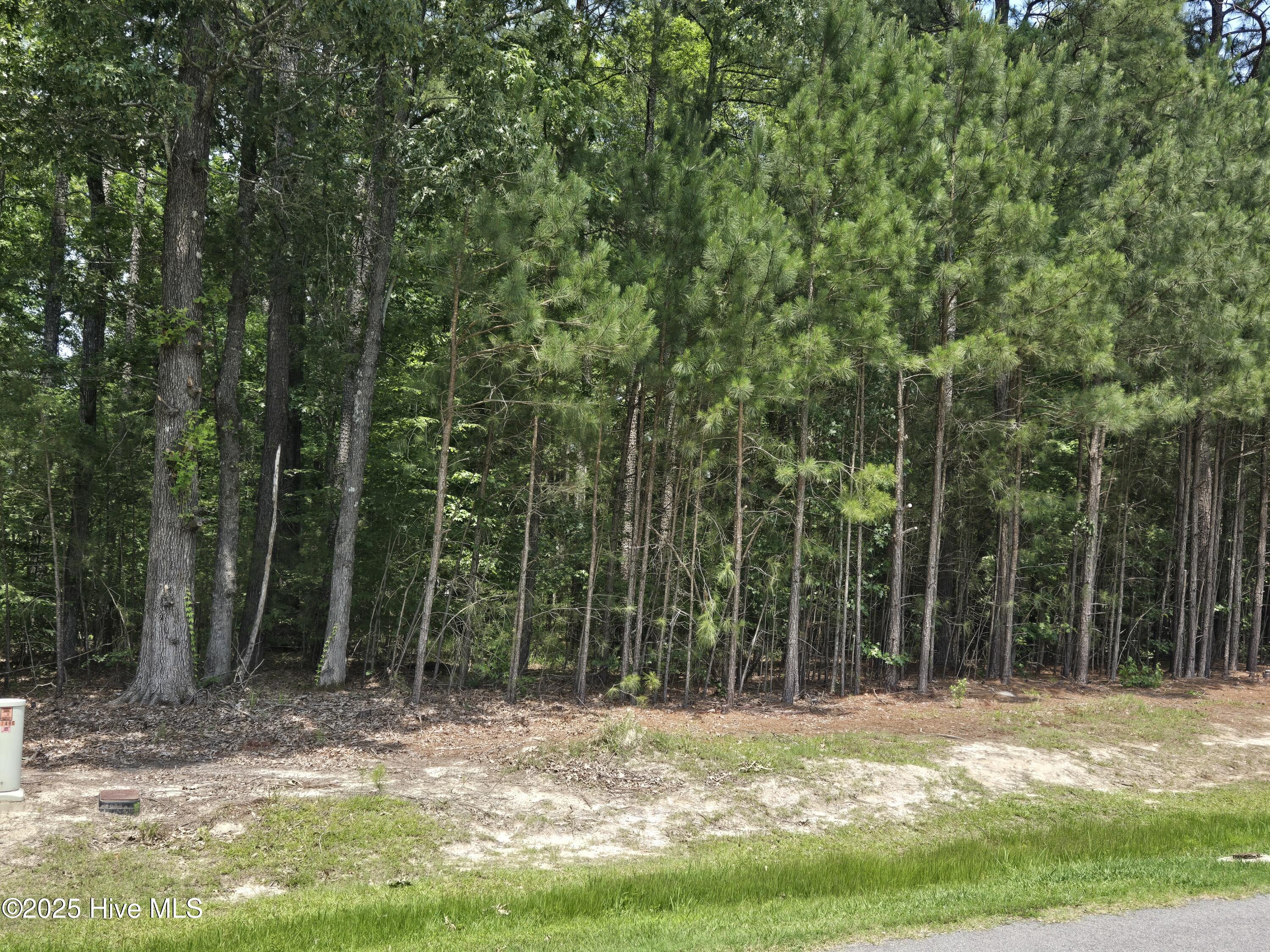 66 Standard Bred Way Property Photo 1