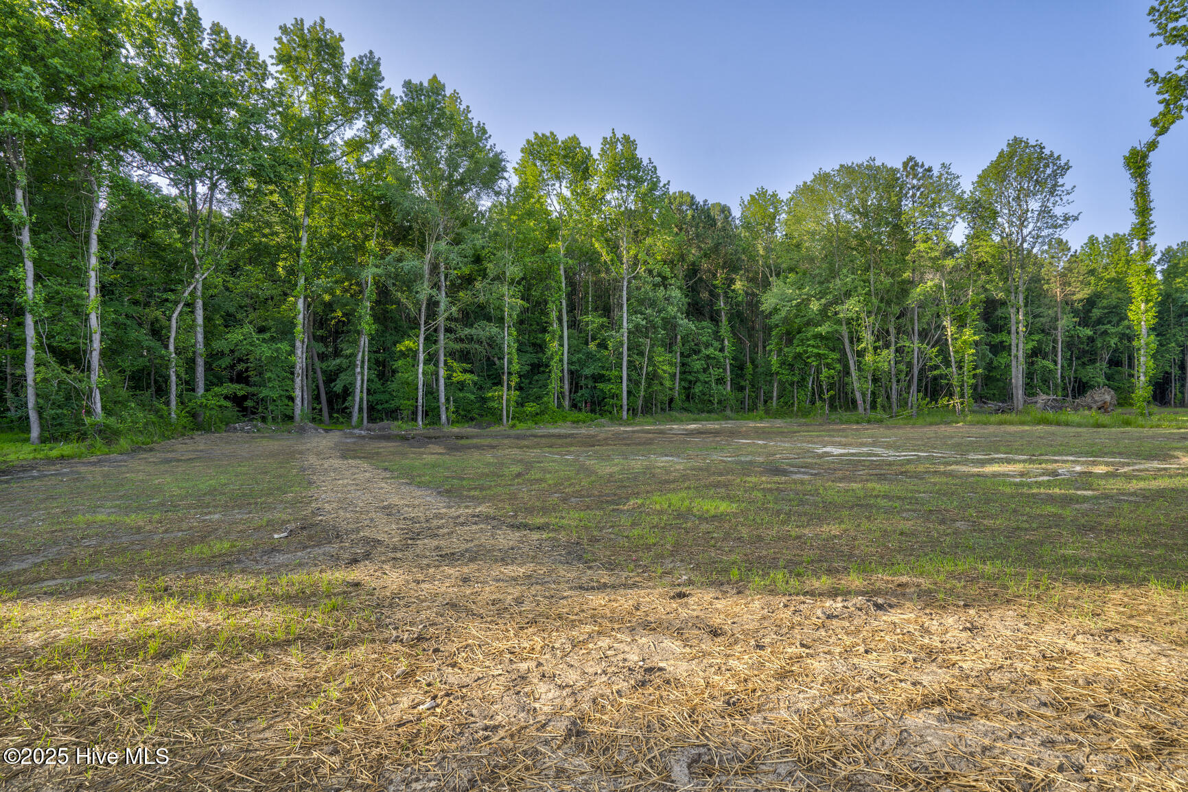 6445 Red Oak Road Property Photo 47