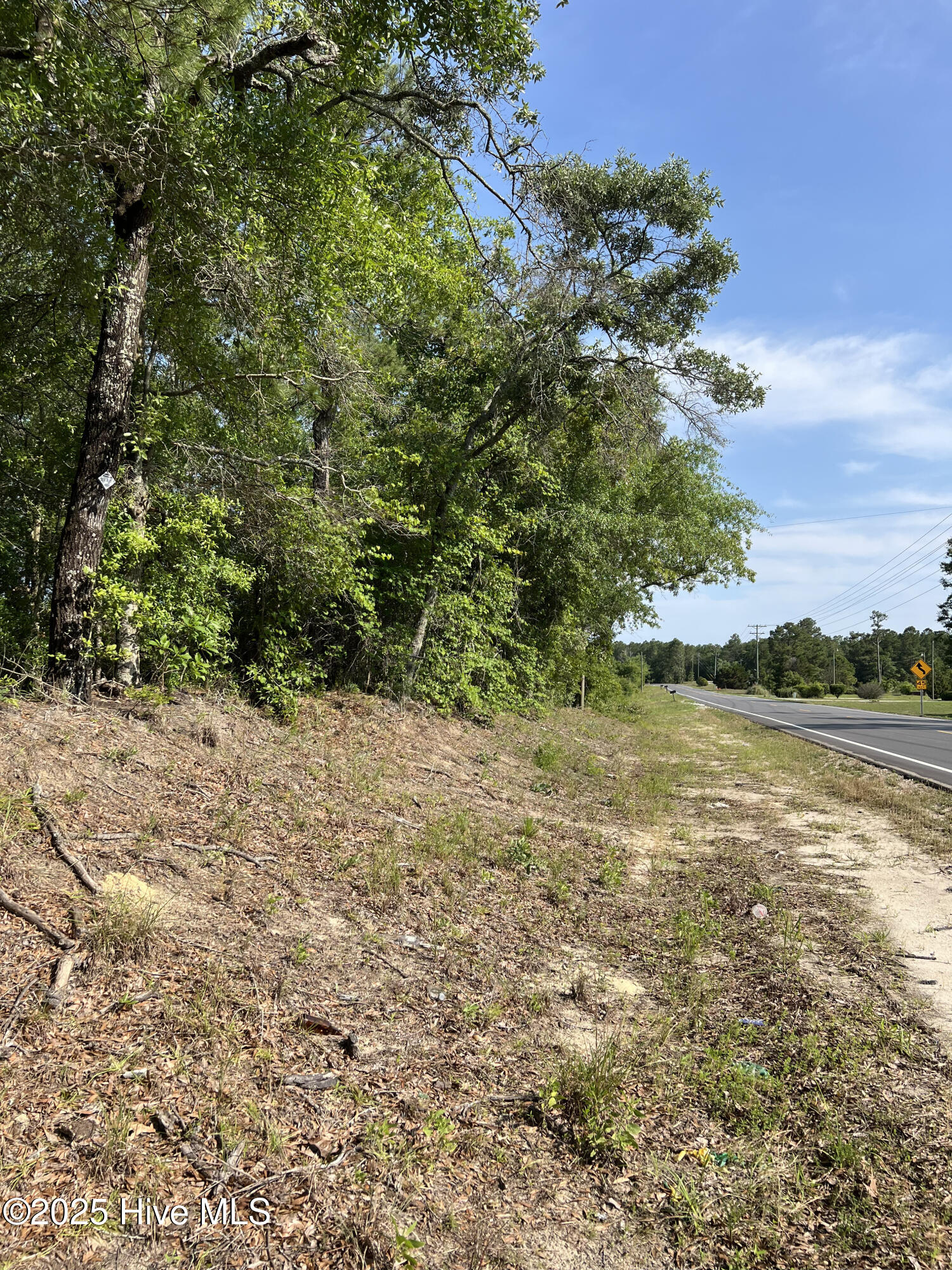 0 Off Shaw Highway Property Photo 2