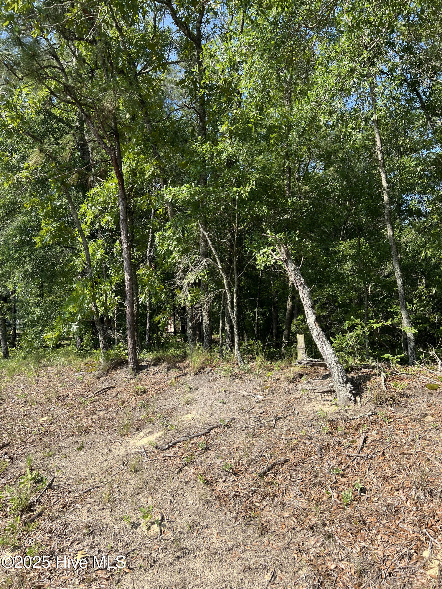 0 Off Shaw Highway Property Photo 3