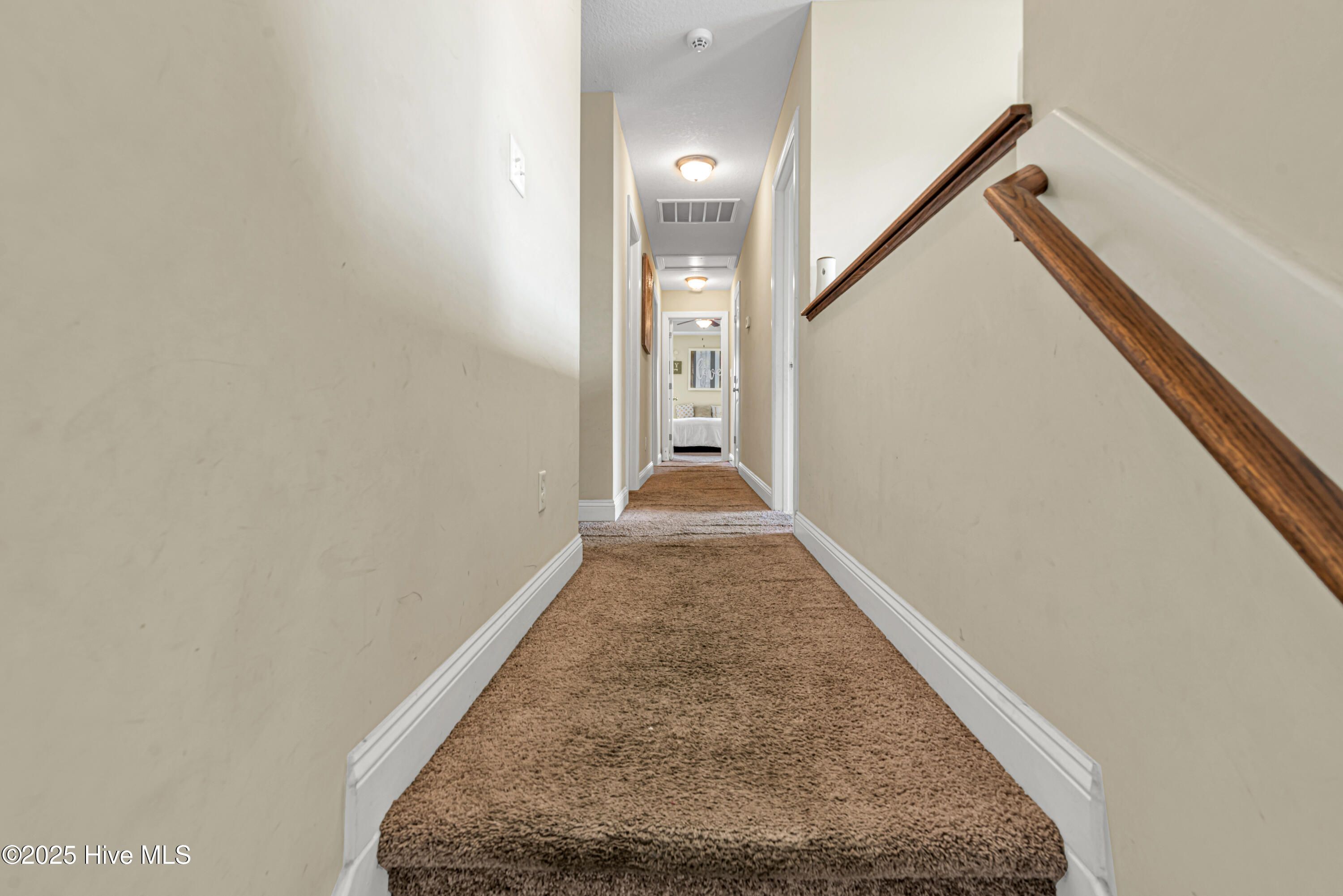 507 Turpentine Trail Property Photo 23