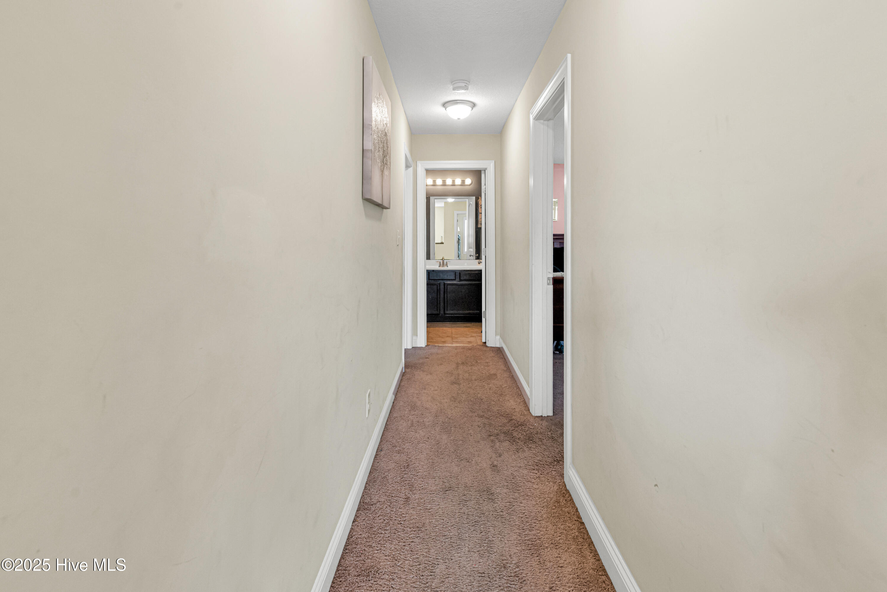 507 Turpentine Trail Property Photo 39