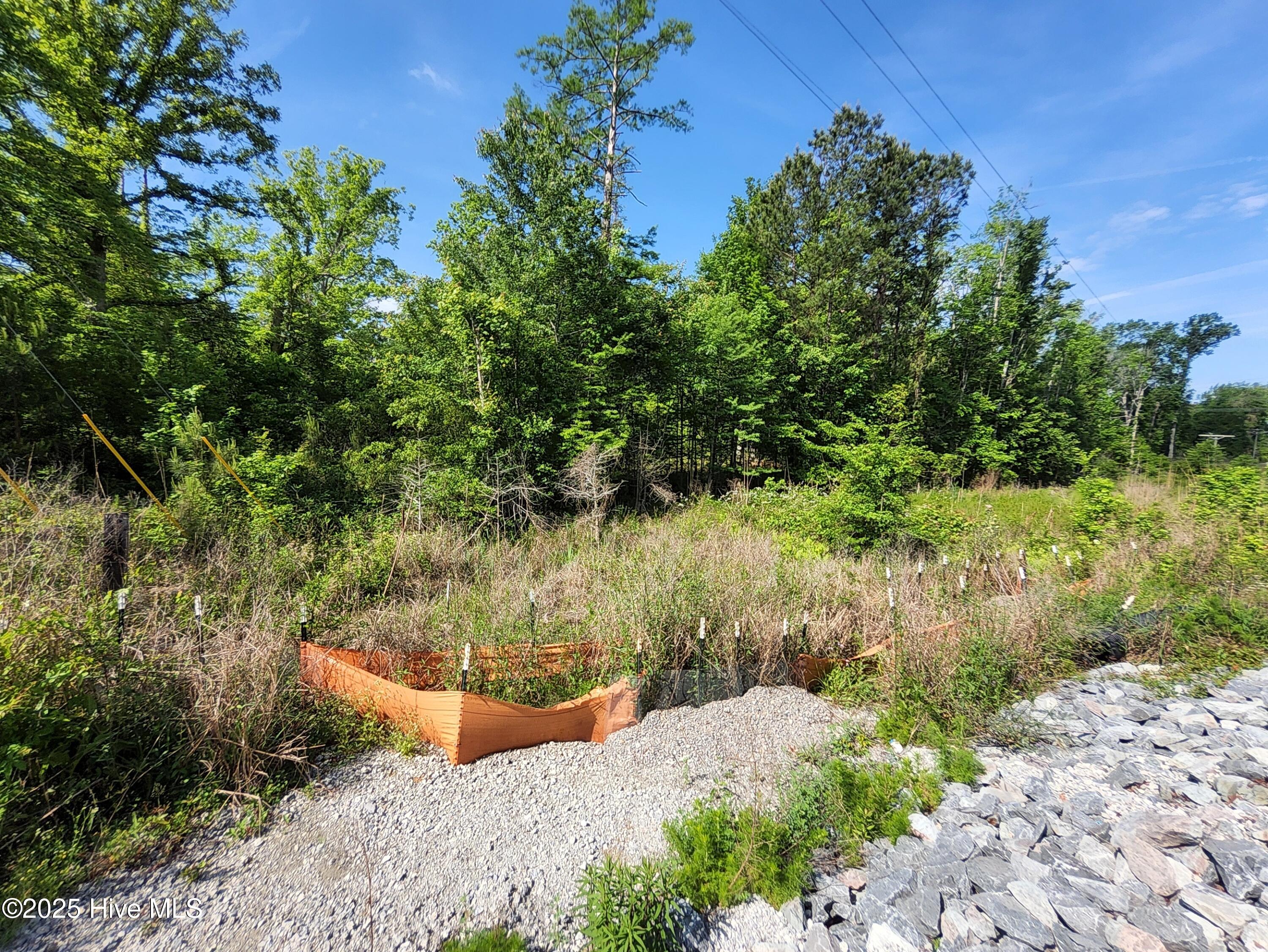 Lot 0 State Hwy 210 Property Photo 4