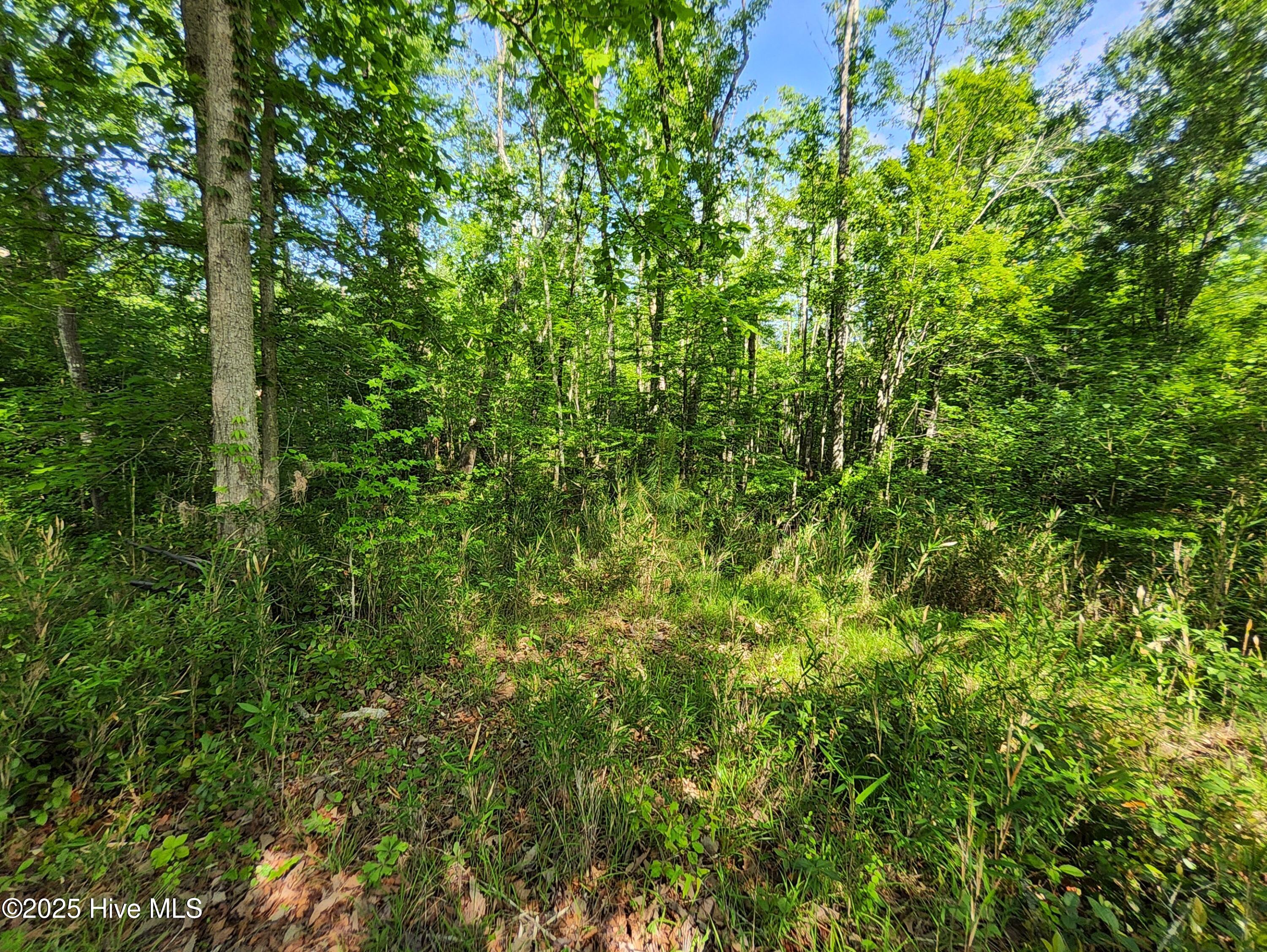 Lot 0 State Hwy 210 Property Photo 6