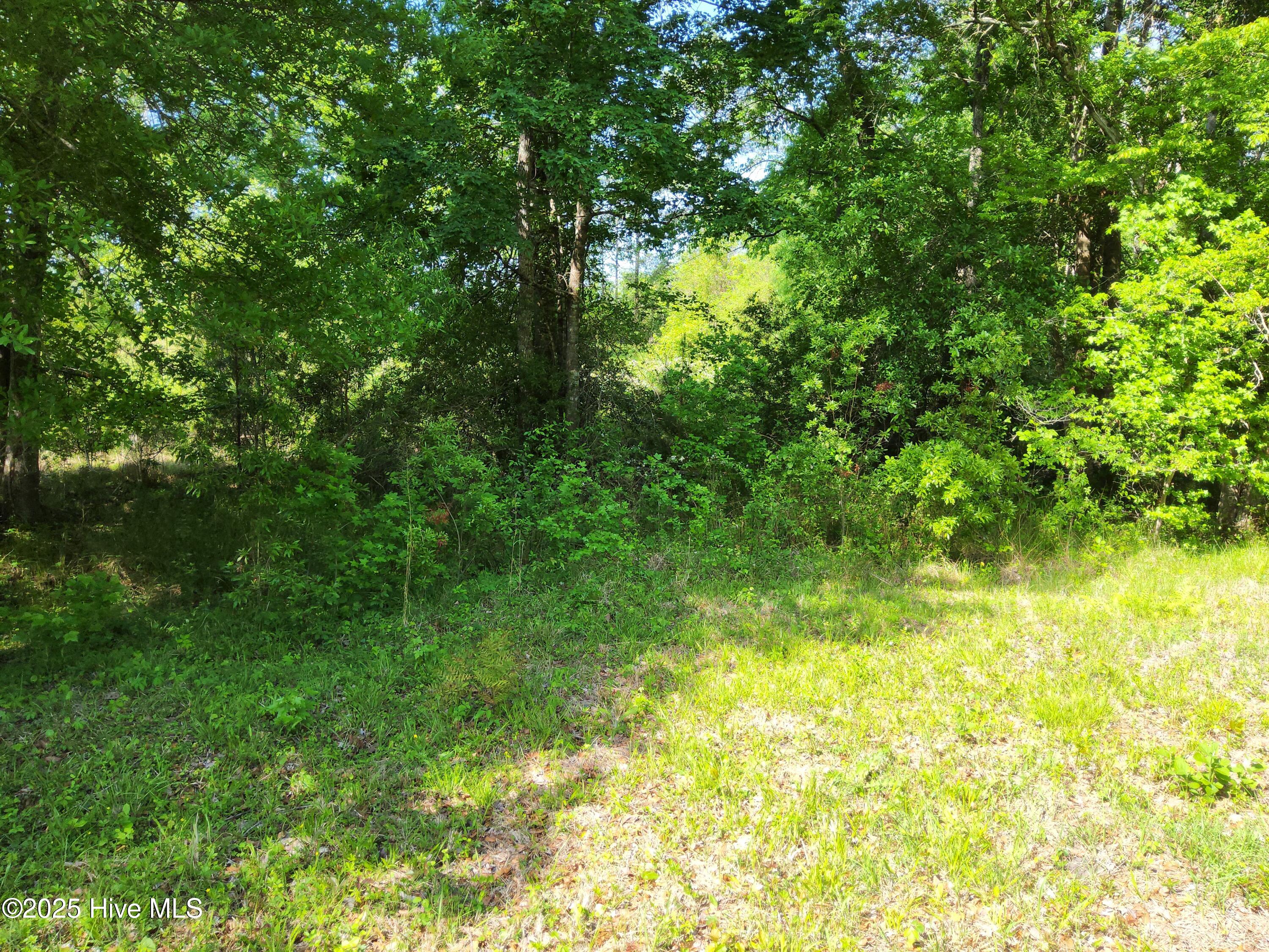 Lot 0 State Hwy 210 Property Photo 7