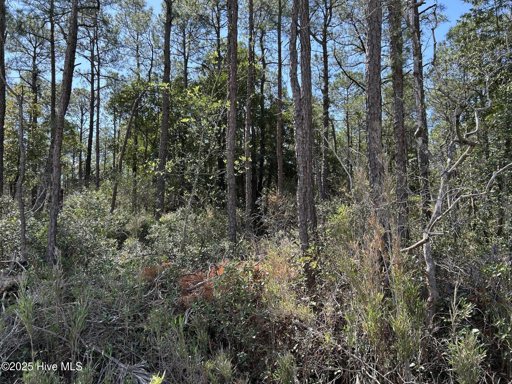 7580 Plantation Road Property Photo 1