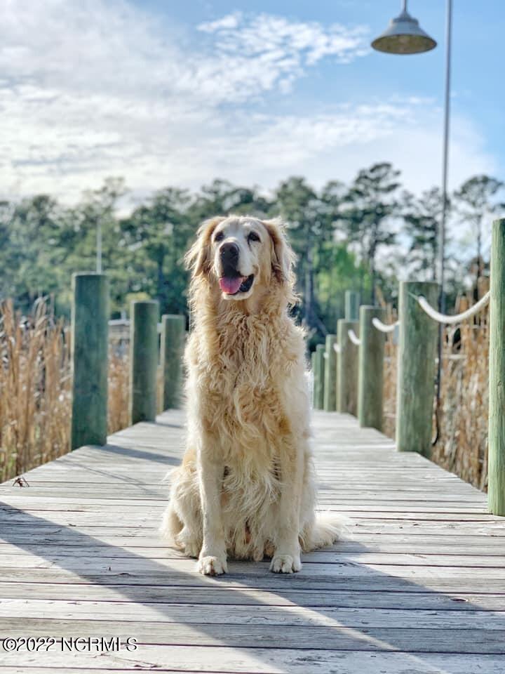 494 W Burton Farm Drive Property Photo 9