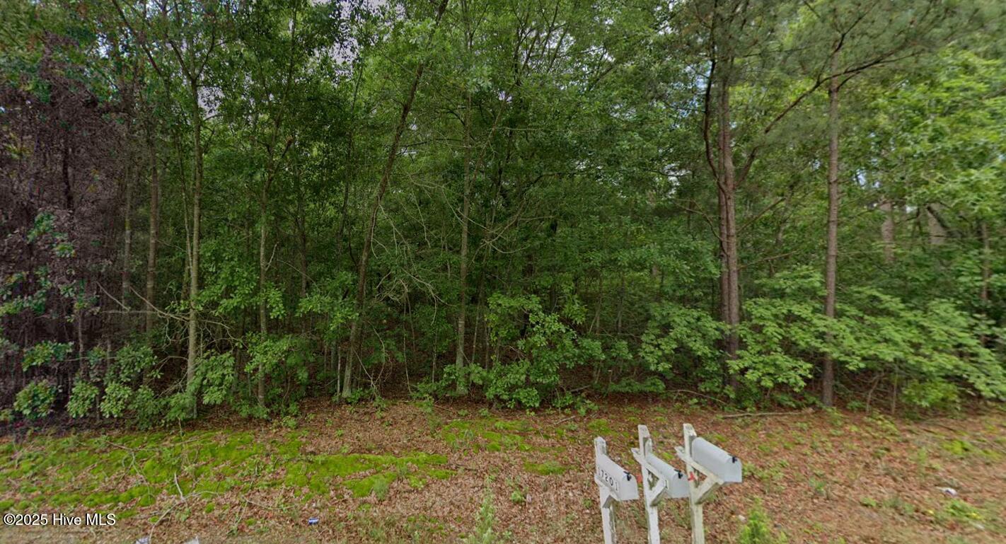 Tbd Palmer Road Property Photo 1