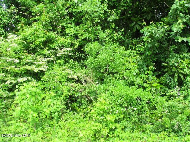 0 Airport Road Property Photo 1