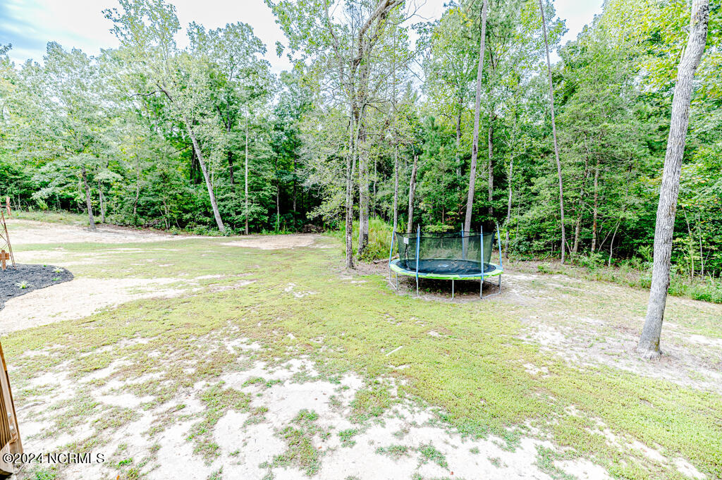 310 Willow Oak Court Property Photo 49