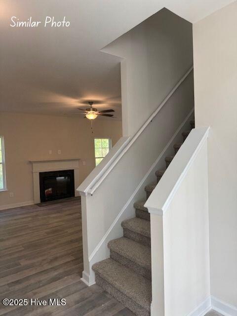 1115 Lunenburg Place Property Photo 15