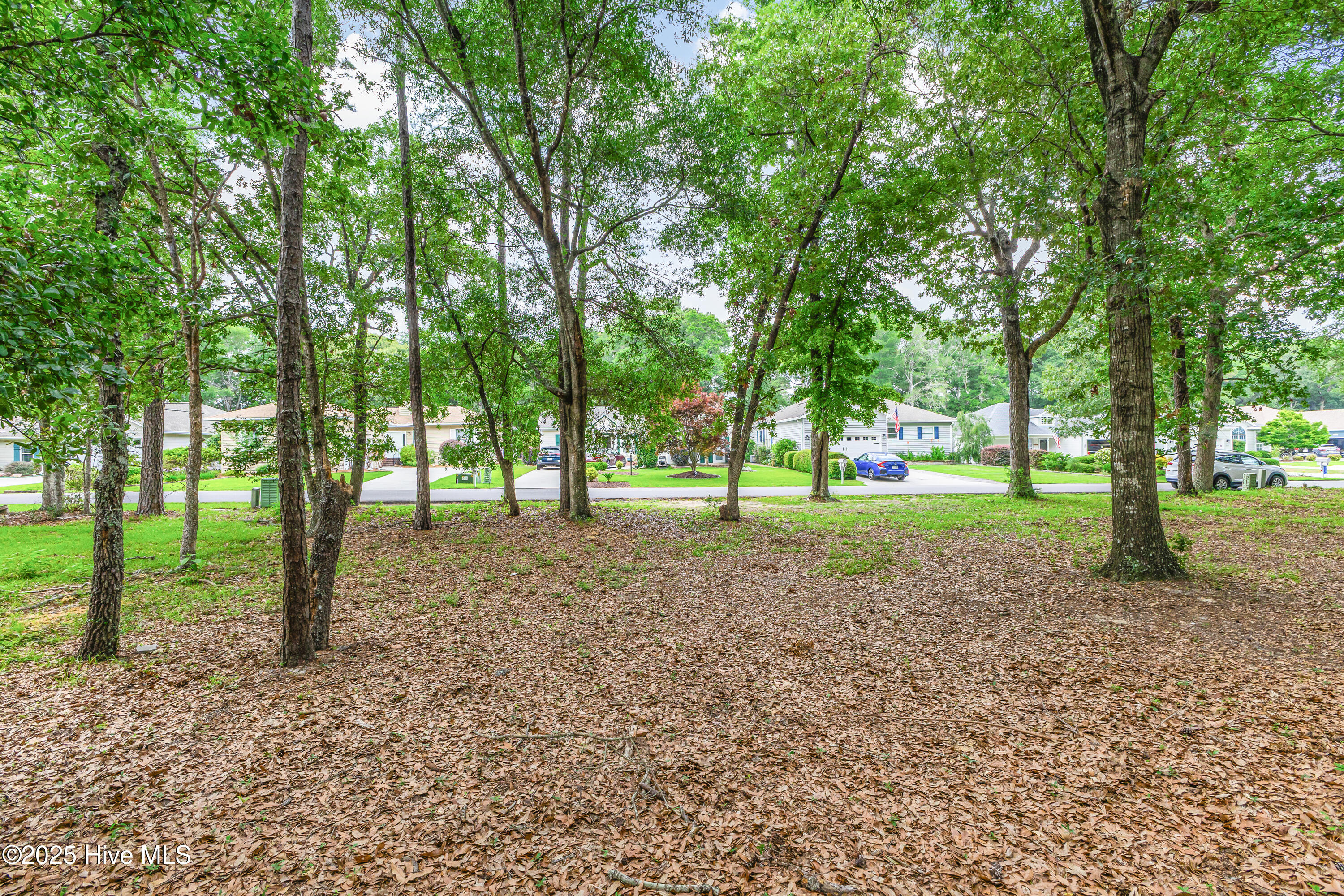 3197 Marsh View Drive Property Photo 4