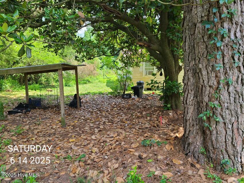48 Nelson Street Property Photo 1