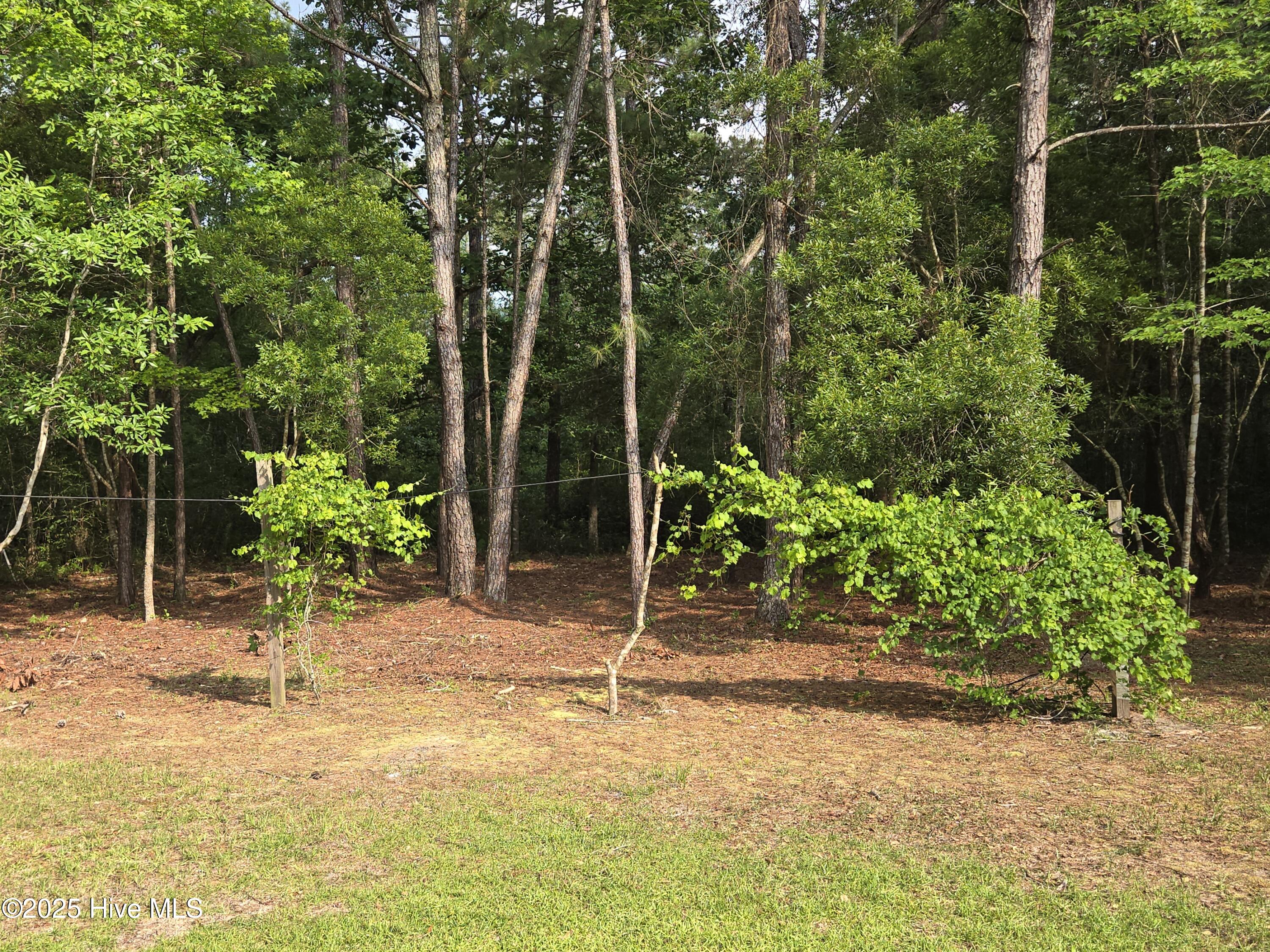 369 Tanglewood Acres Drive Property Photo 22