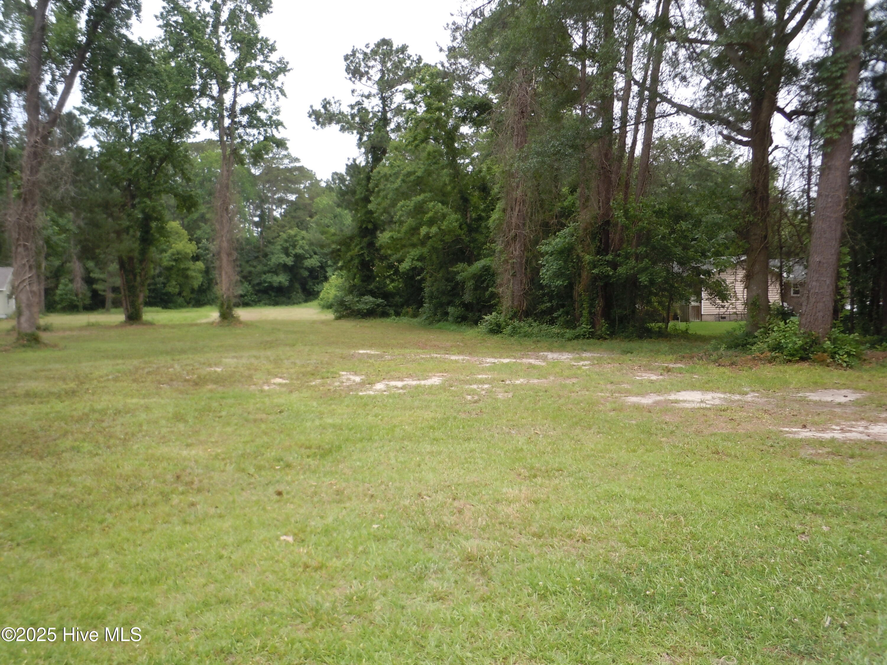 Tbd Near 503 Elizabeth Street Property Photo 1