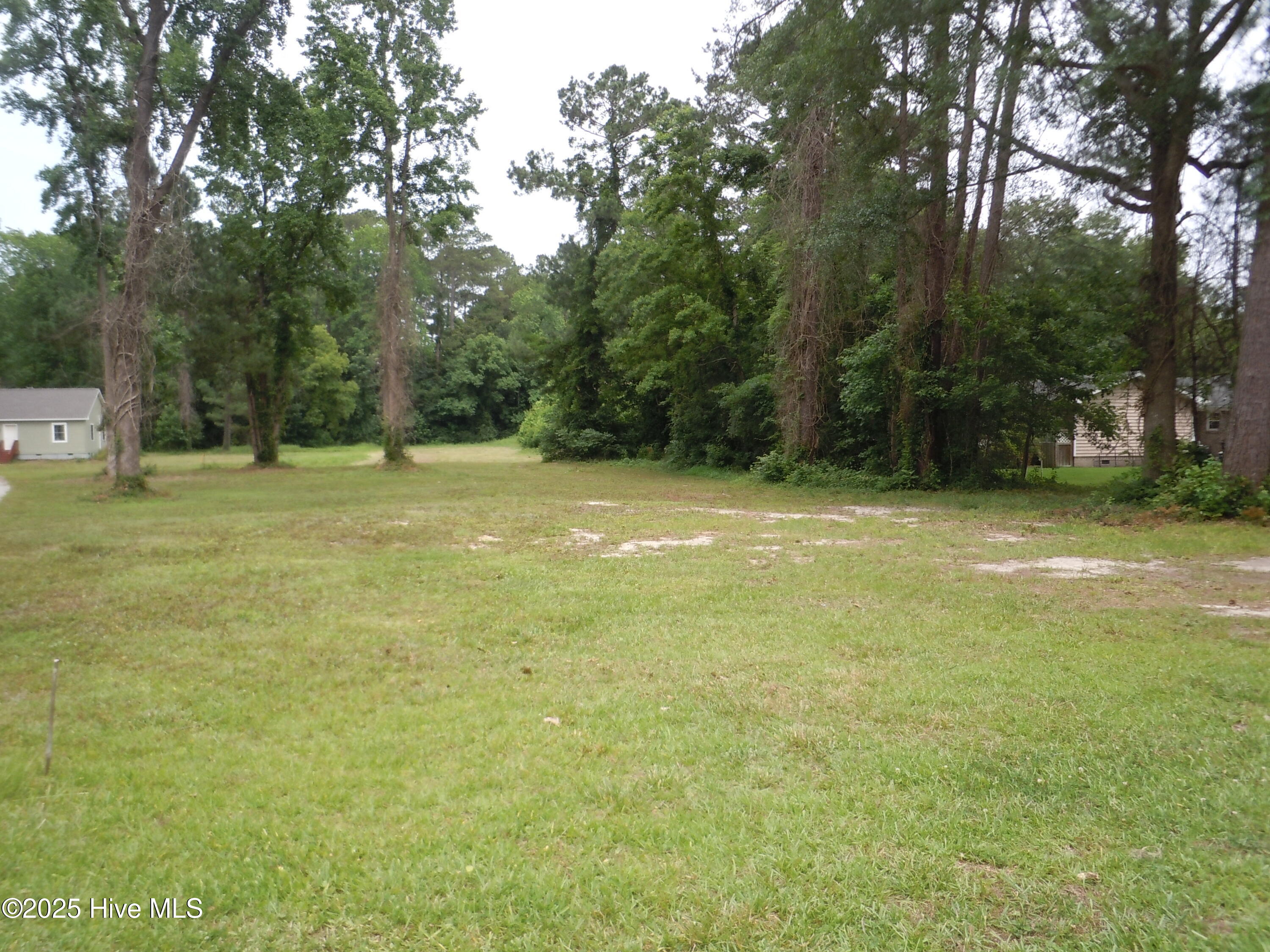 Tbd Near 503 Elizabeth Street Property Photo 2