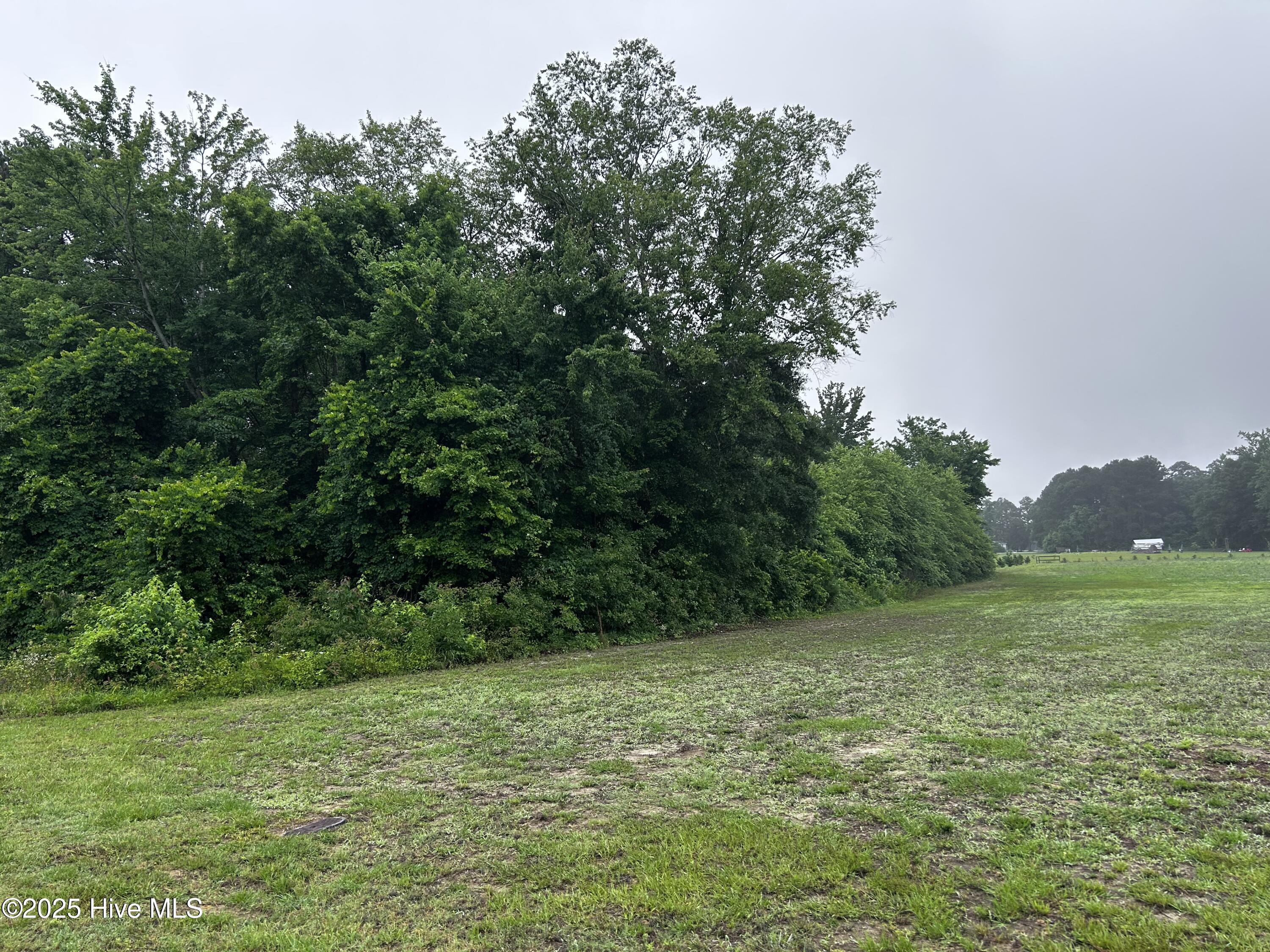 Tbd Nelson Road Property Photo 1