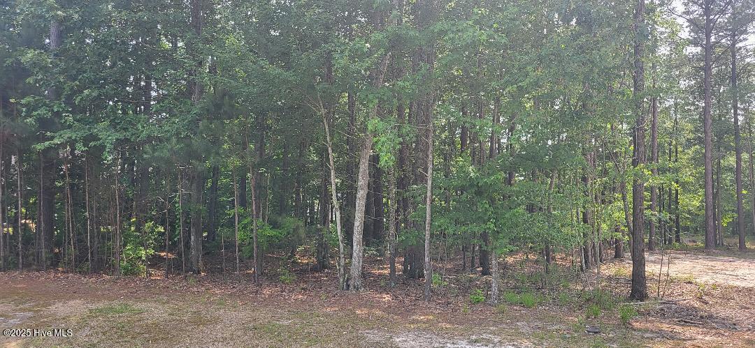 Jj60 Paint Lane Property Photo 3