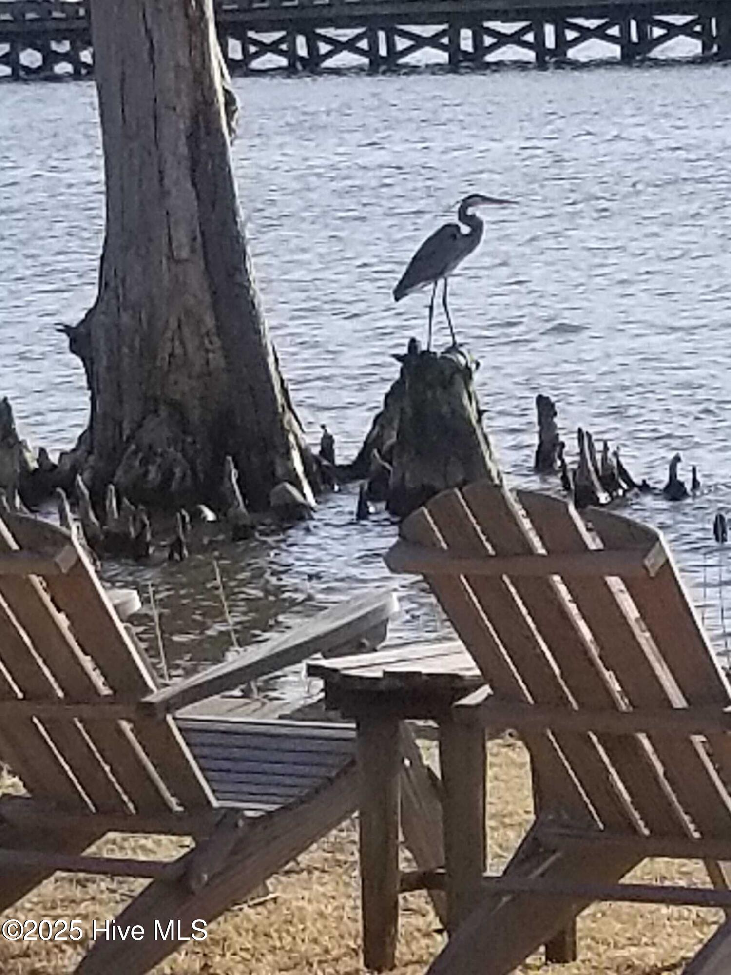 Jj60 Paint Lane Property Photo 9