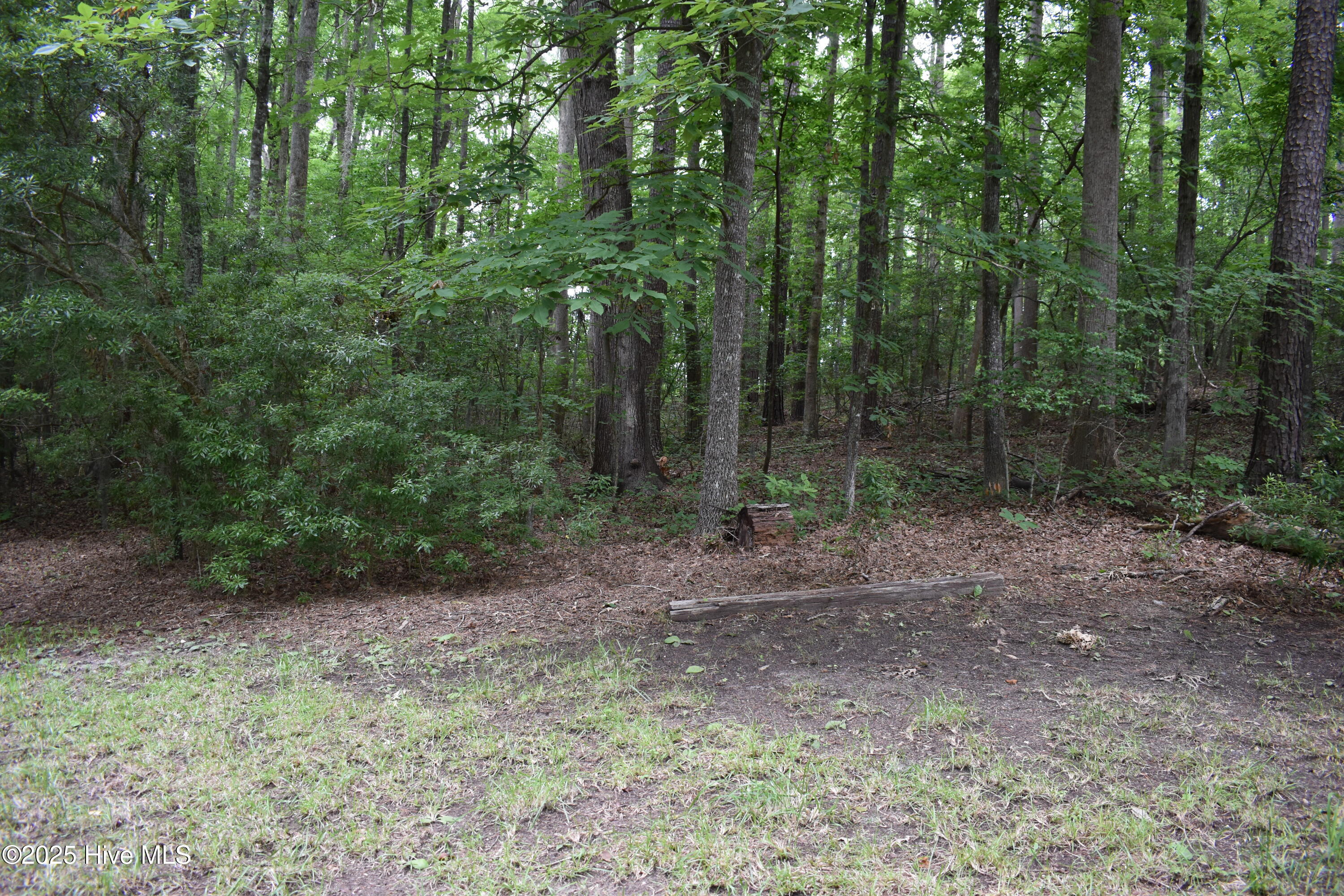 Lot 6 River Road Property Photo 1