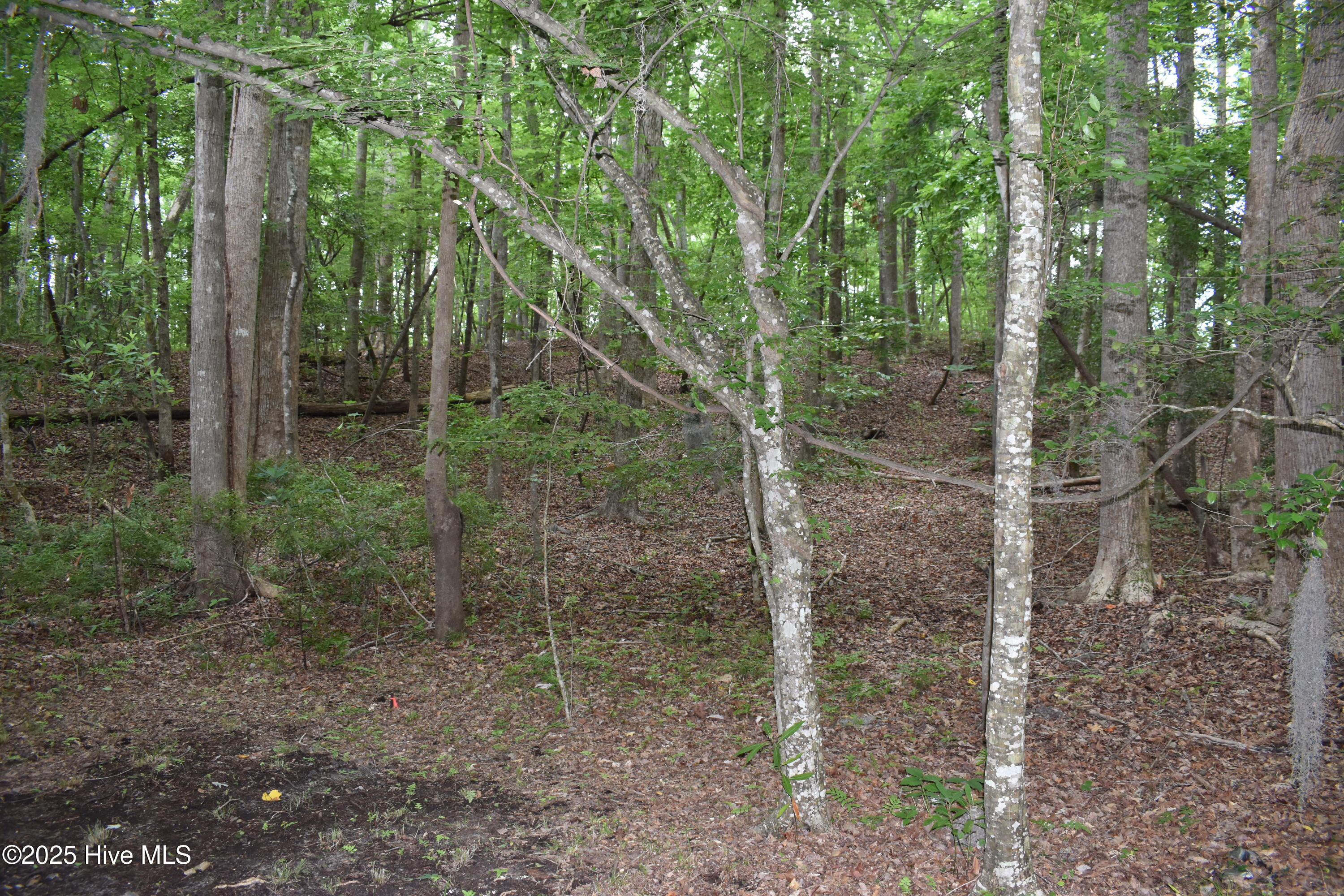 Lot 6 River Road Property Photo 2