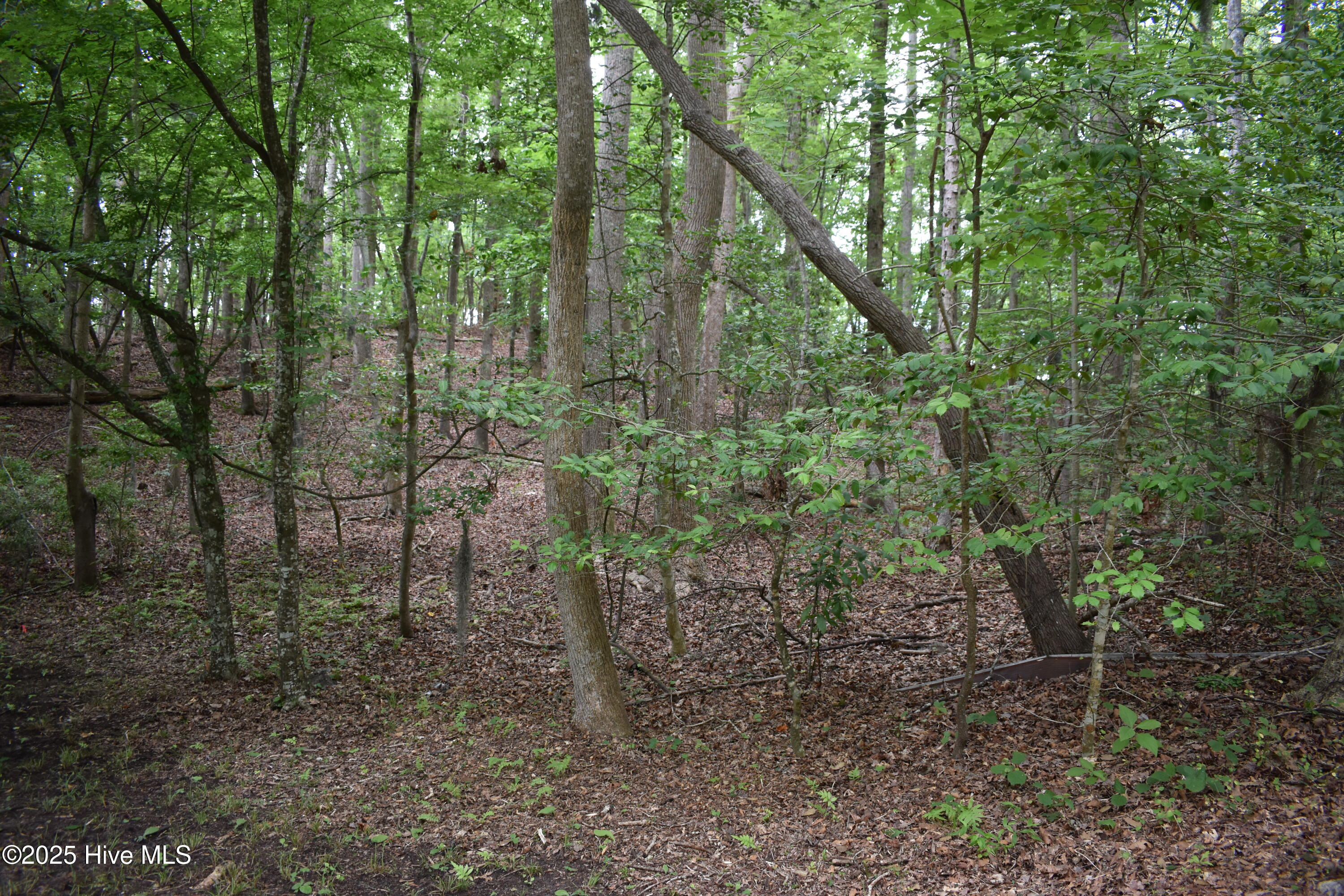 Lot 6 River Road Property Photo 3