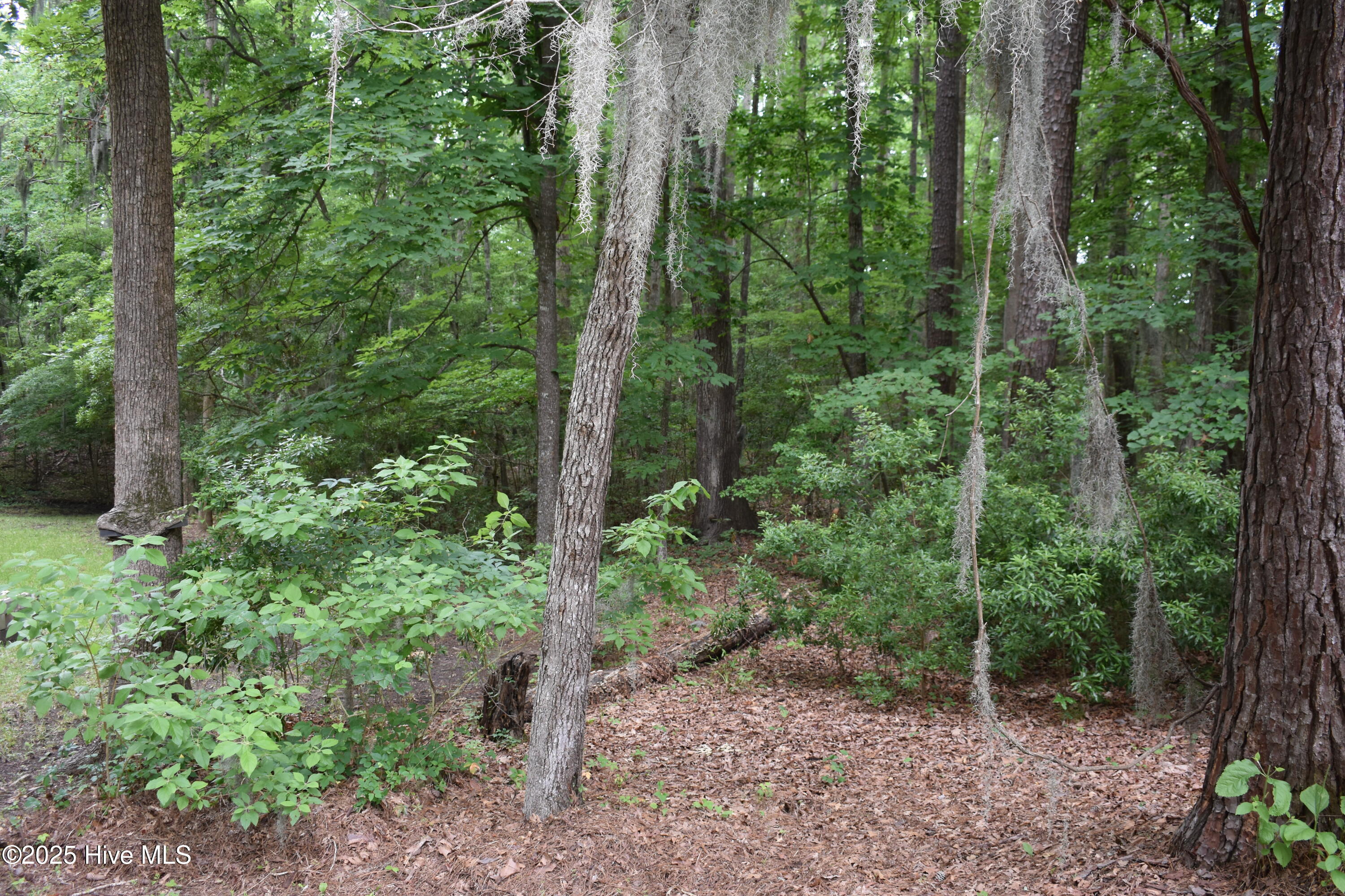 Lot 6 River Road Property Photo 4