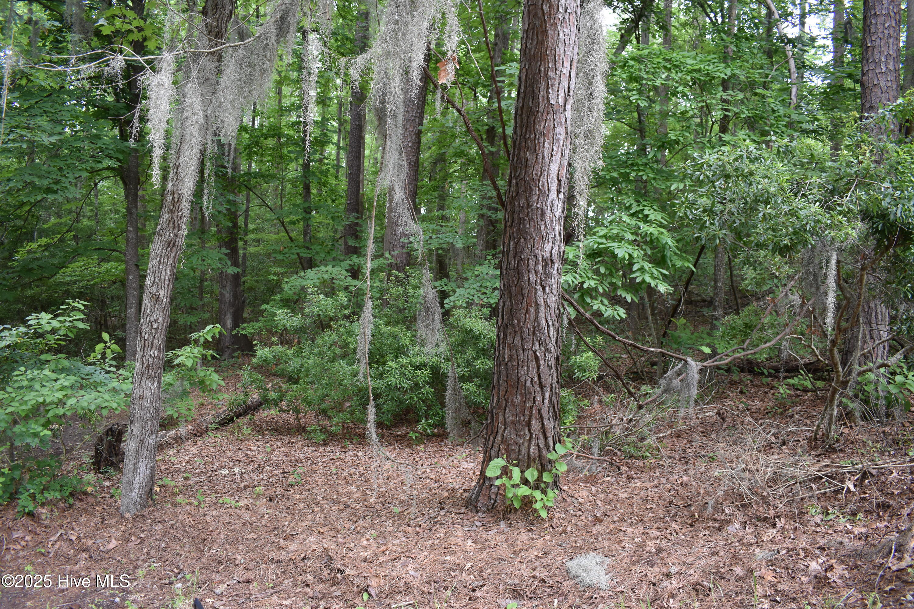 Lot 6 River Road Property Photo 5