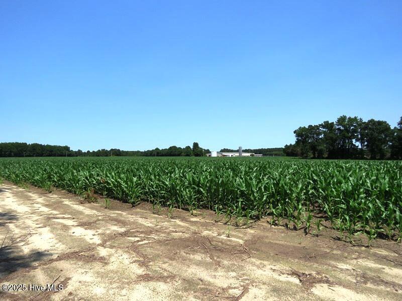 Tbd Highway 71 Property Photo 11