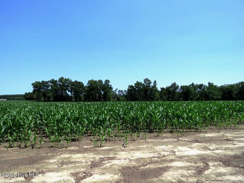 Tbd Highway 71 Property Photo 12