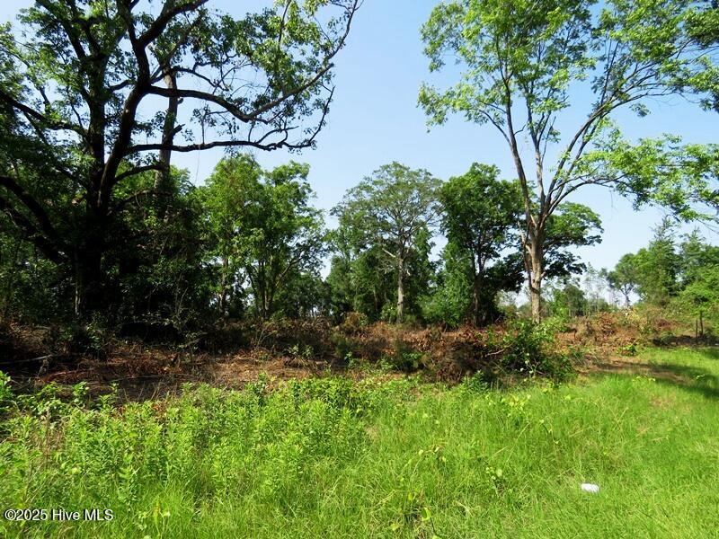Tbd Highway 71 Property Photo 17