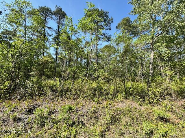 308 Plantation Road Property Photo 1