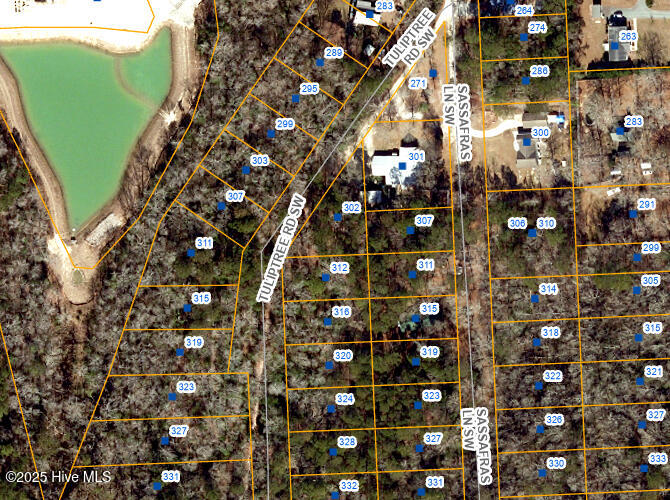 295 Tuliptree Lane Property Photo 1