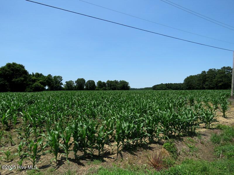 Tbd Highway 71 Property Photo 10