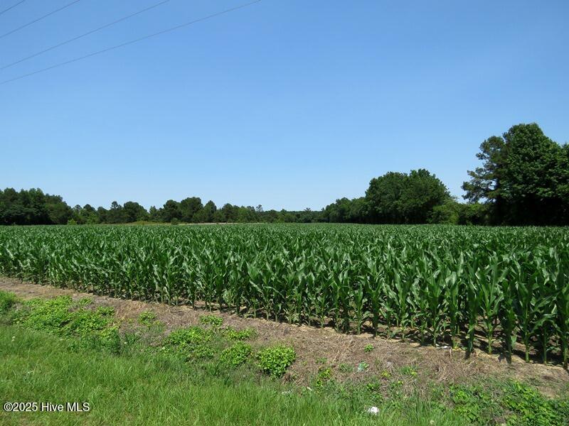 Tbd Highway 71 Property Photo 14