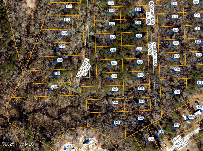 334 Sassafras Road Property Photo 1