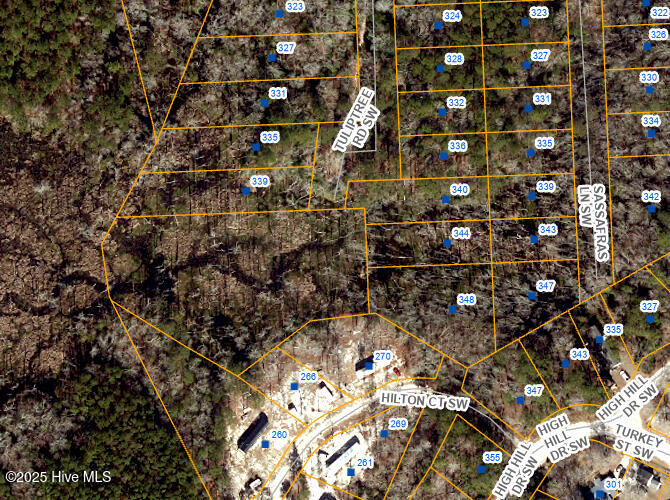 348 Tuliptree Road Property Photo 1