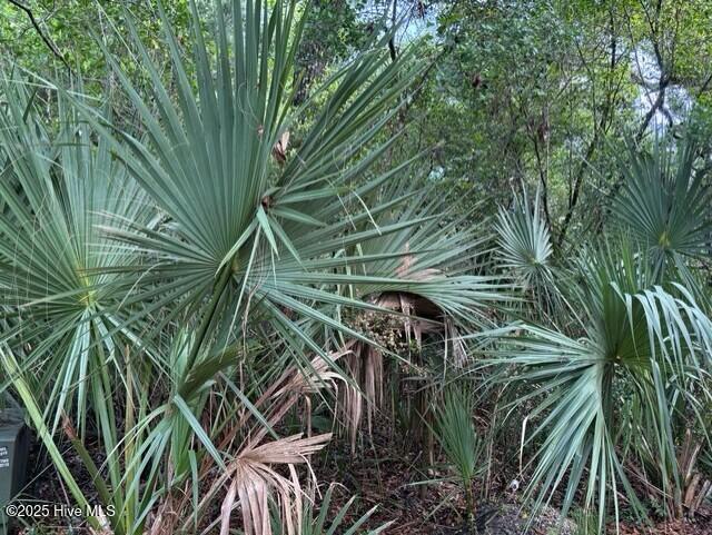 207 Muscadine Wynd Property Photo 2
