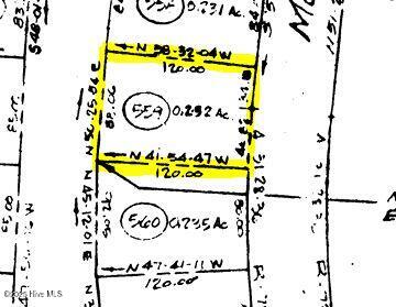 207 Muscadine Wynd Property Photo 8