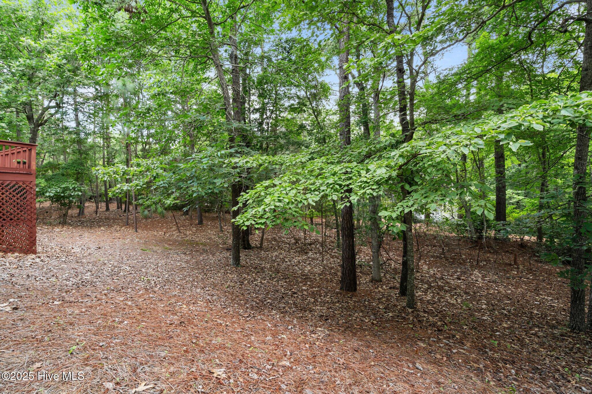 90 Sugar Pine Drive Property Photo 46