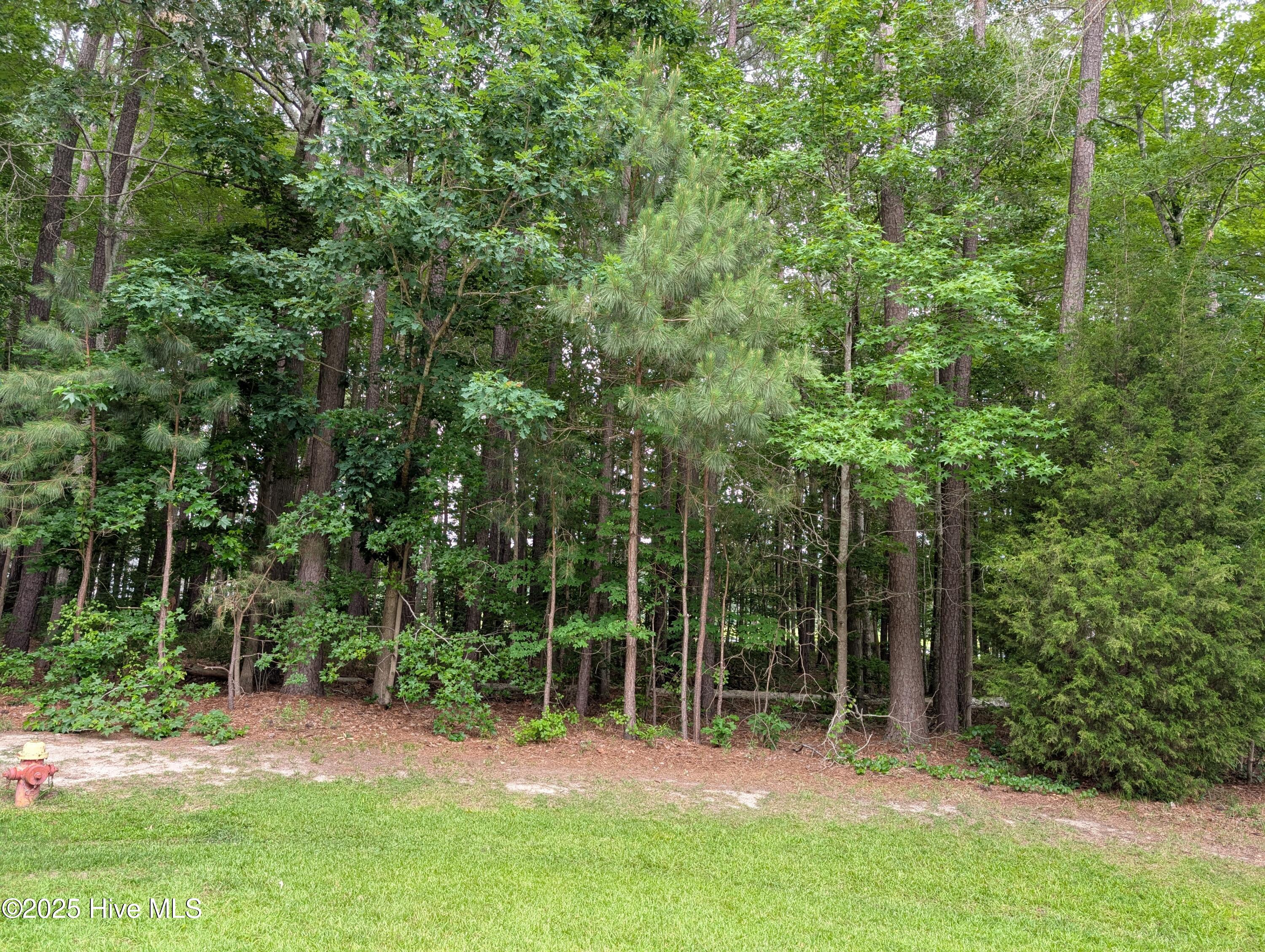 124 Nottaway Drive Property Photo 1