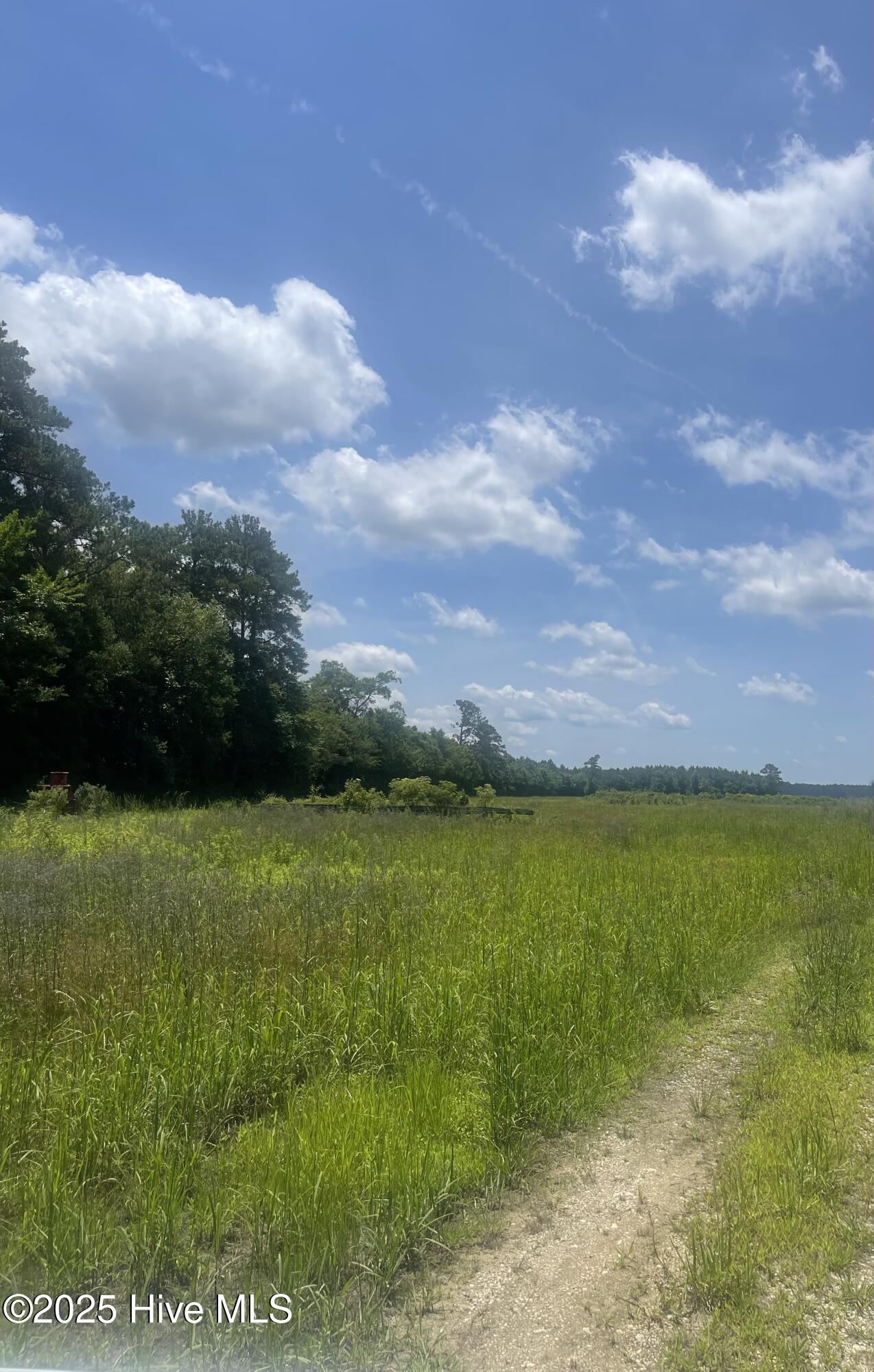 0 Highway 58 Property Photo 1