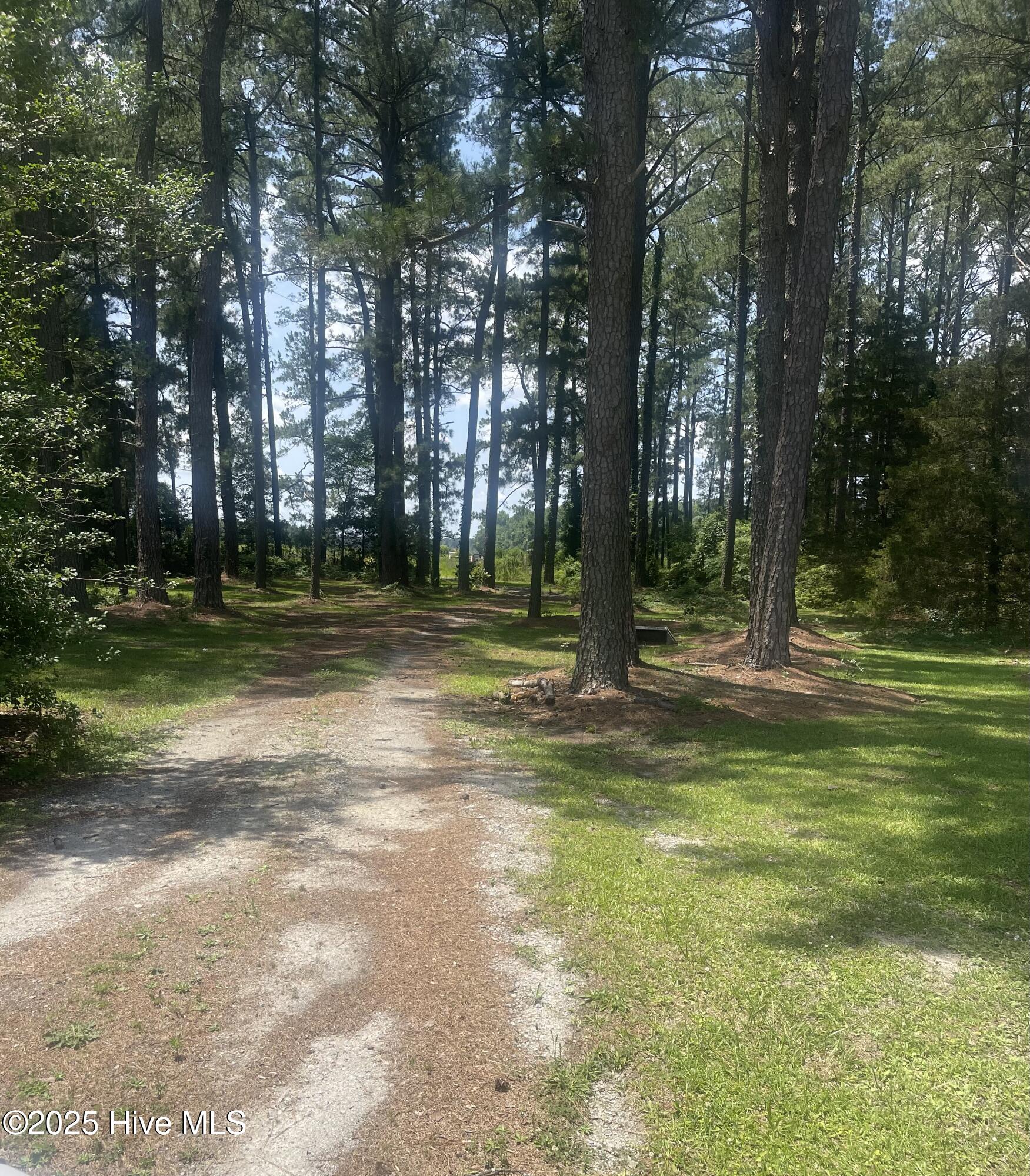 0 Highway 58 Property Photo 8