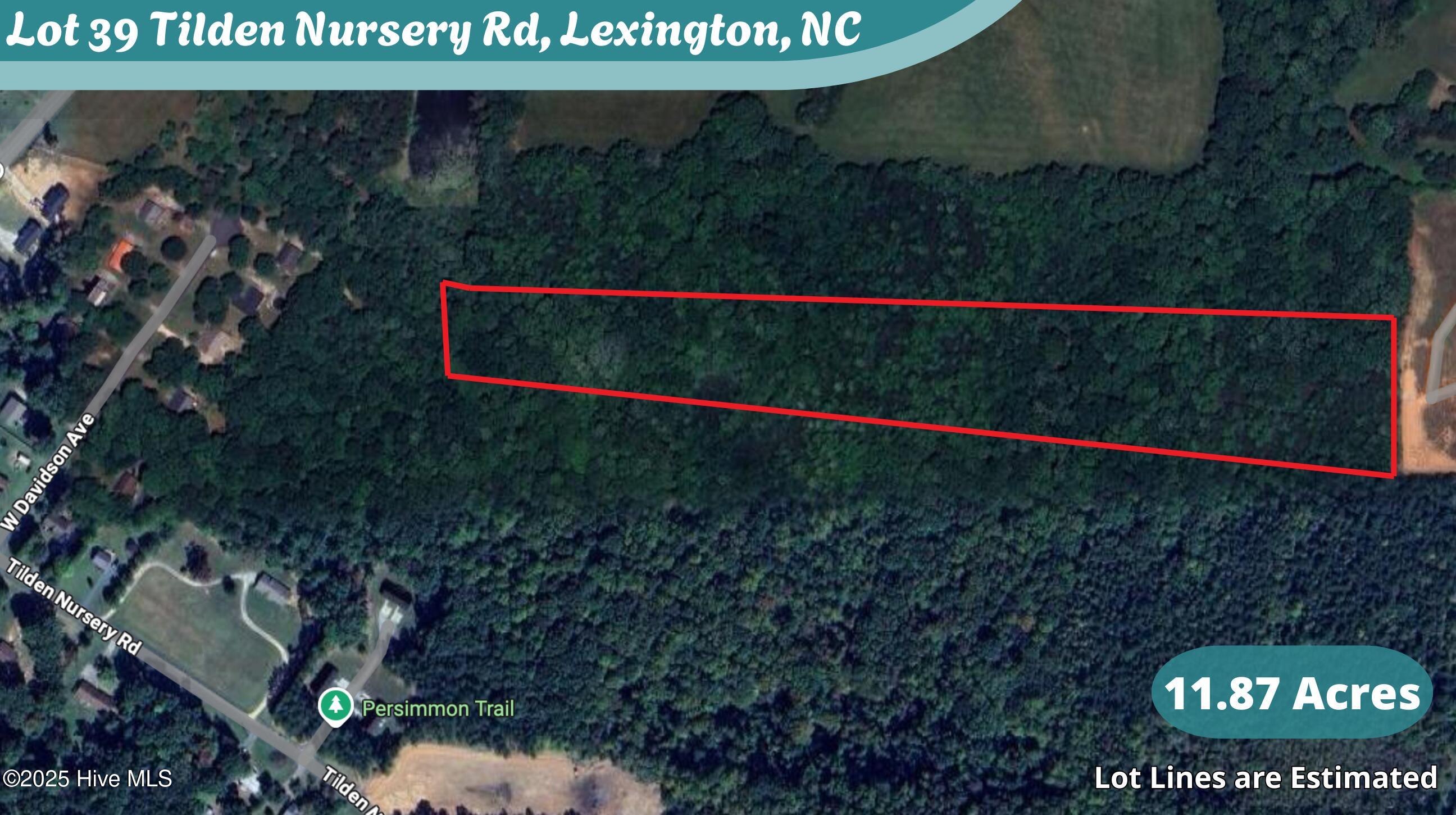 Lot 39 Tilden Nursery Road Property Photo 1
