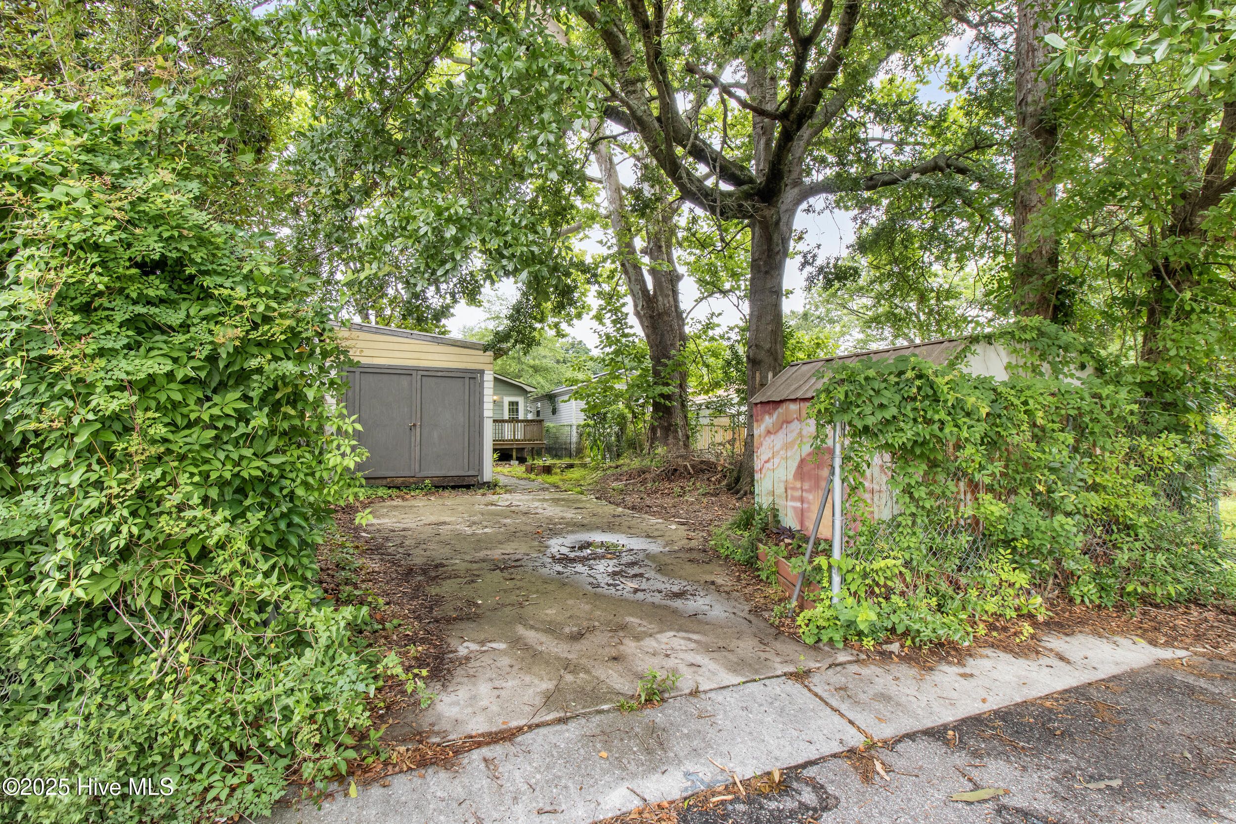 117 S 13th Street Property Photo 34