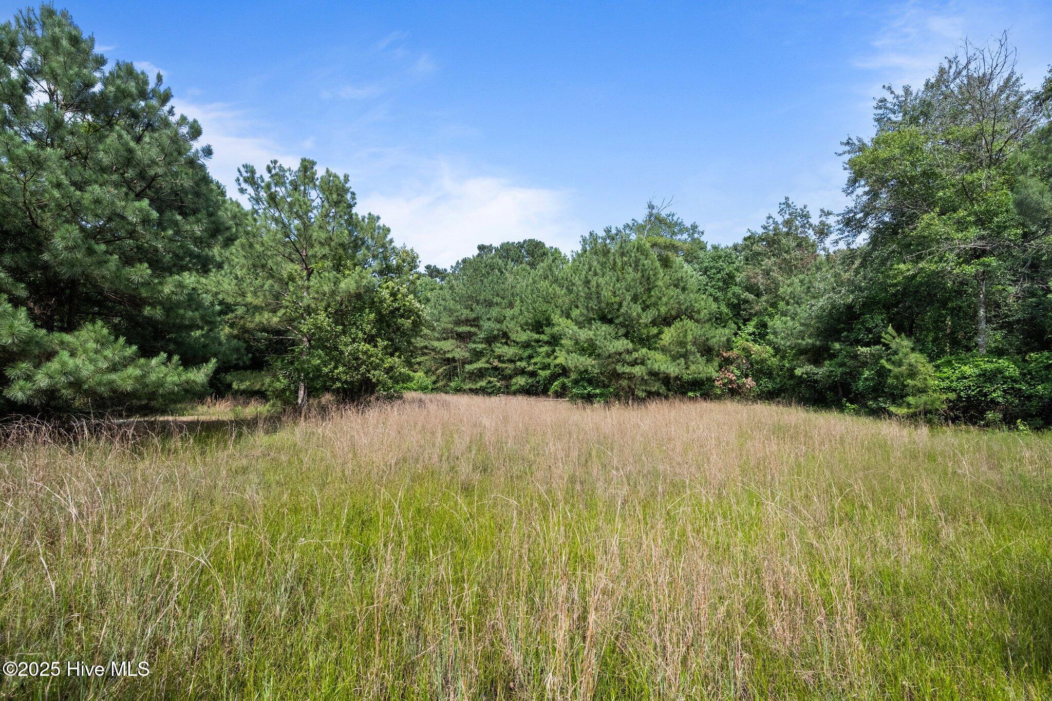 Tbd Remington Way Property Photo 3